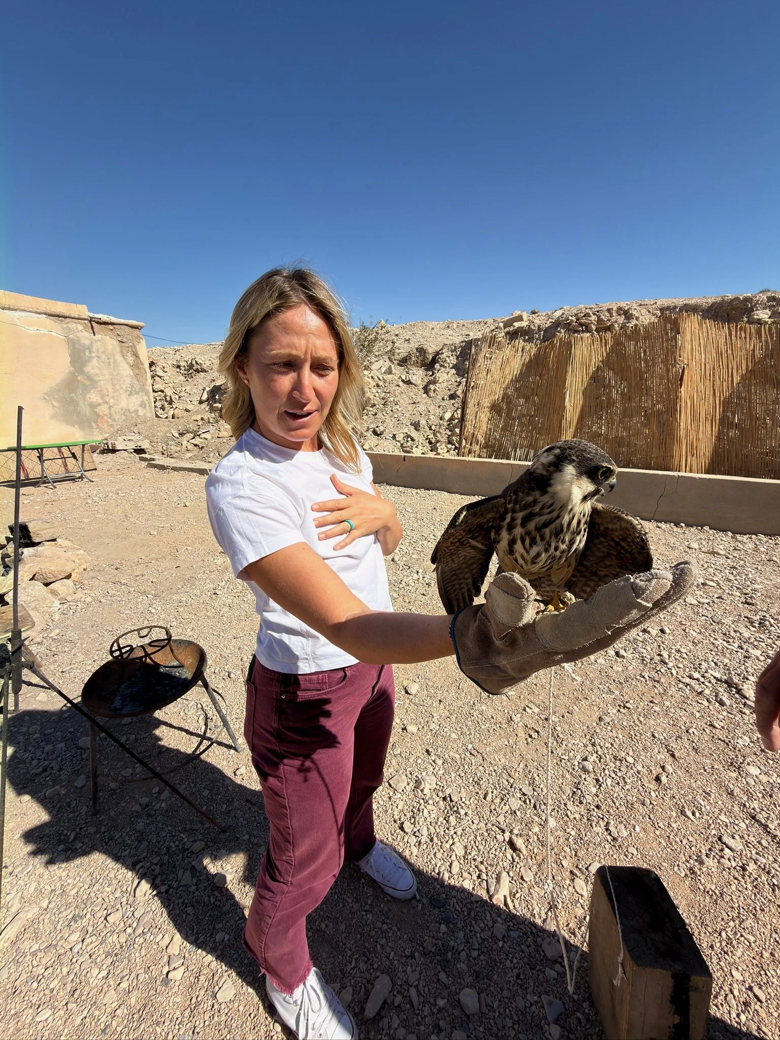 maxandhailey-travel_syria-Damascus-Aleppo-palymira - 5.jpeg