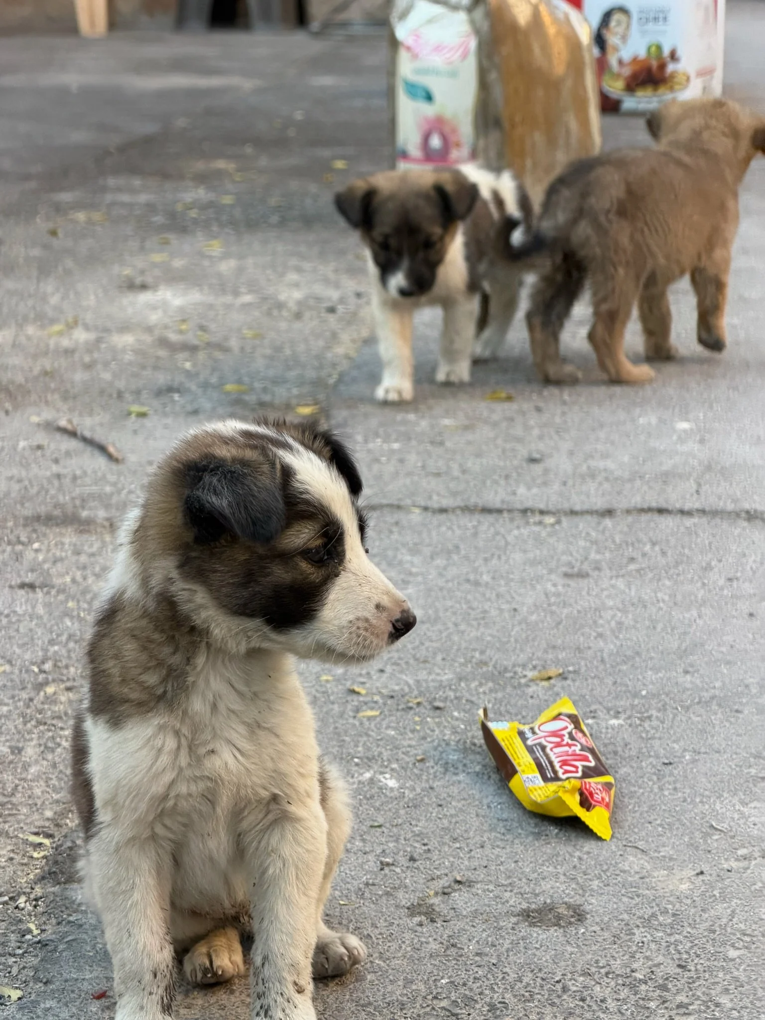 maxandhailey-travel_syria-Damascus-Aleppo-palymira - 31.jpeg