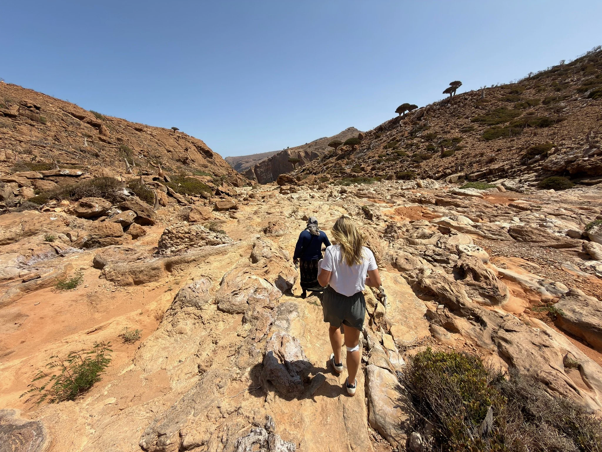 maxandhailey-travel_Yemen-socotra-Island - 15.jpeg
