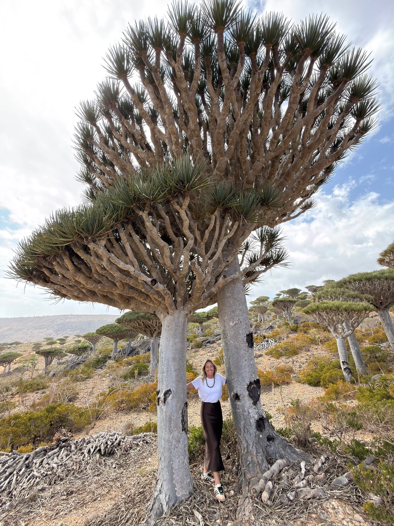 maxandhailey-travel_Yemen-socotra-Island - 27.jpeg