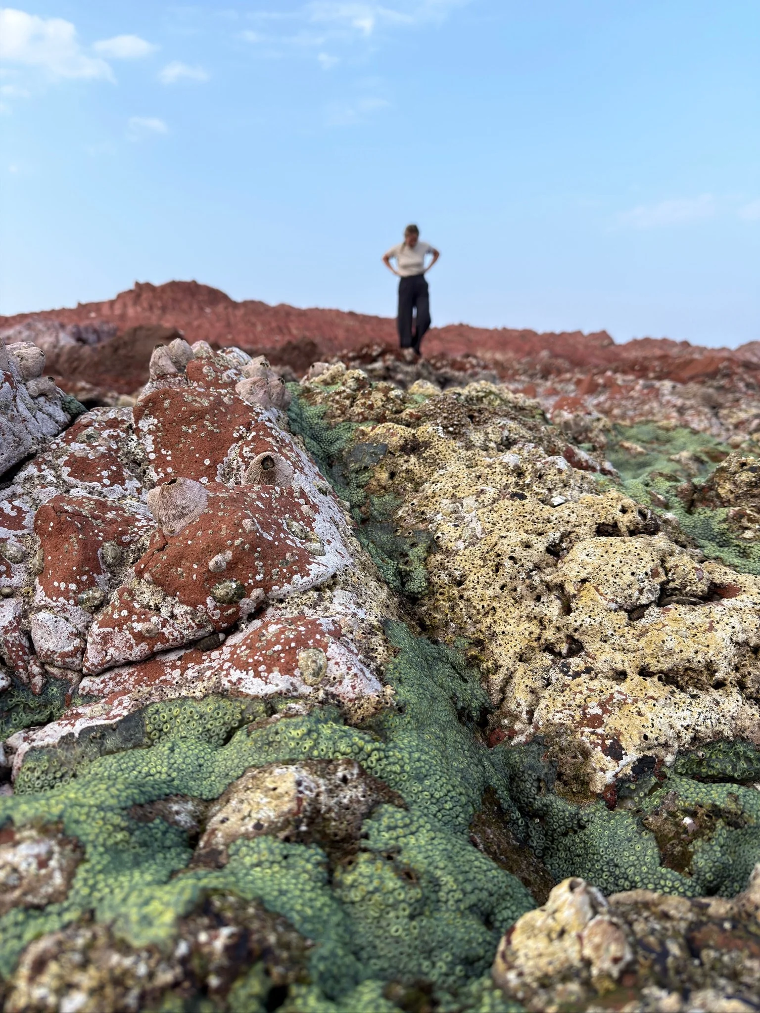 maxandhailey-travel_Yemen-socotra-Island - 9.jpeg