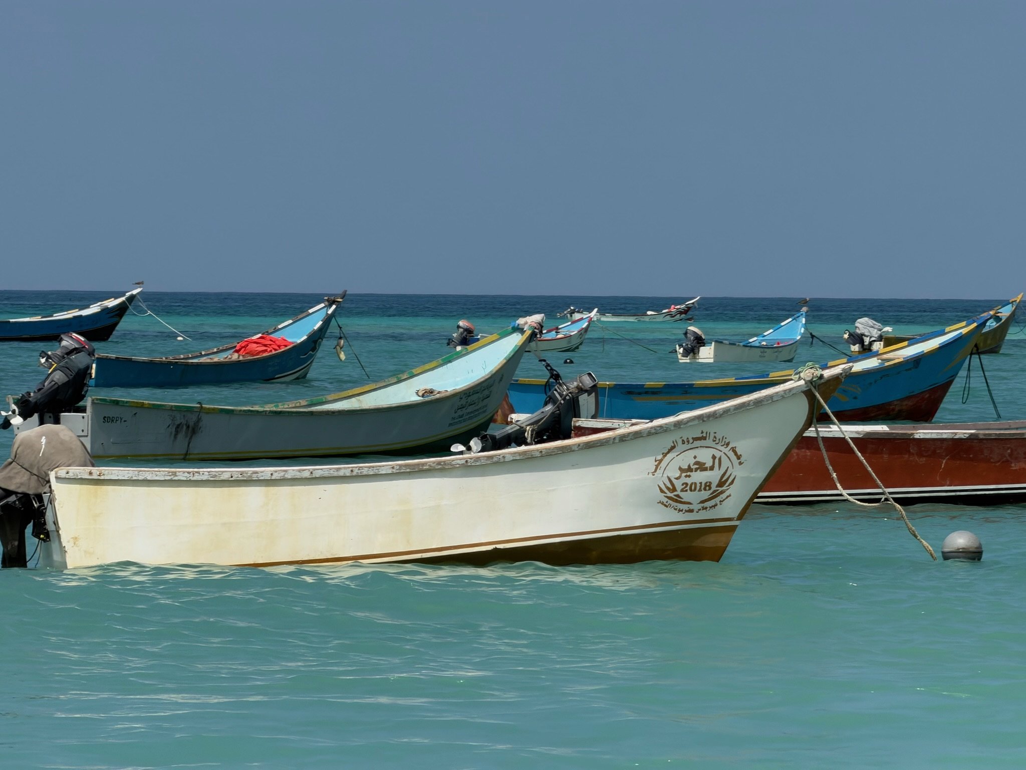 maxandhailey-travel_Yemen-socotra-Island - 38.jpeg
