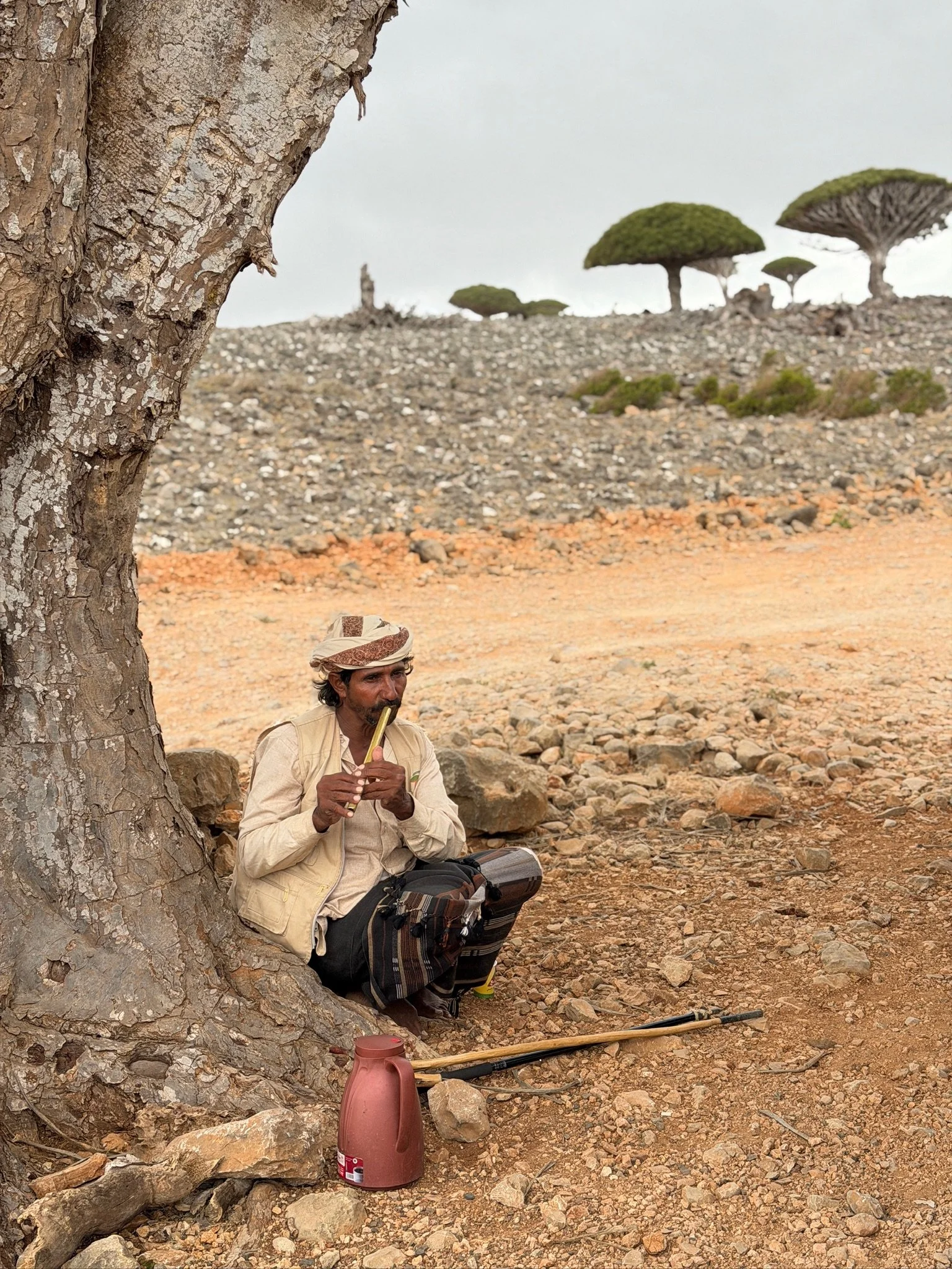 maxandhailey-travel_Yemen-socotra-Island - 31.jpeg