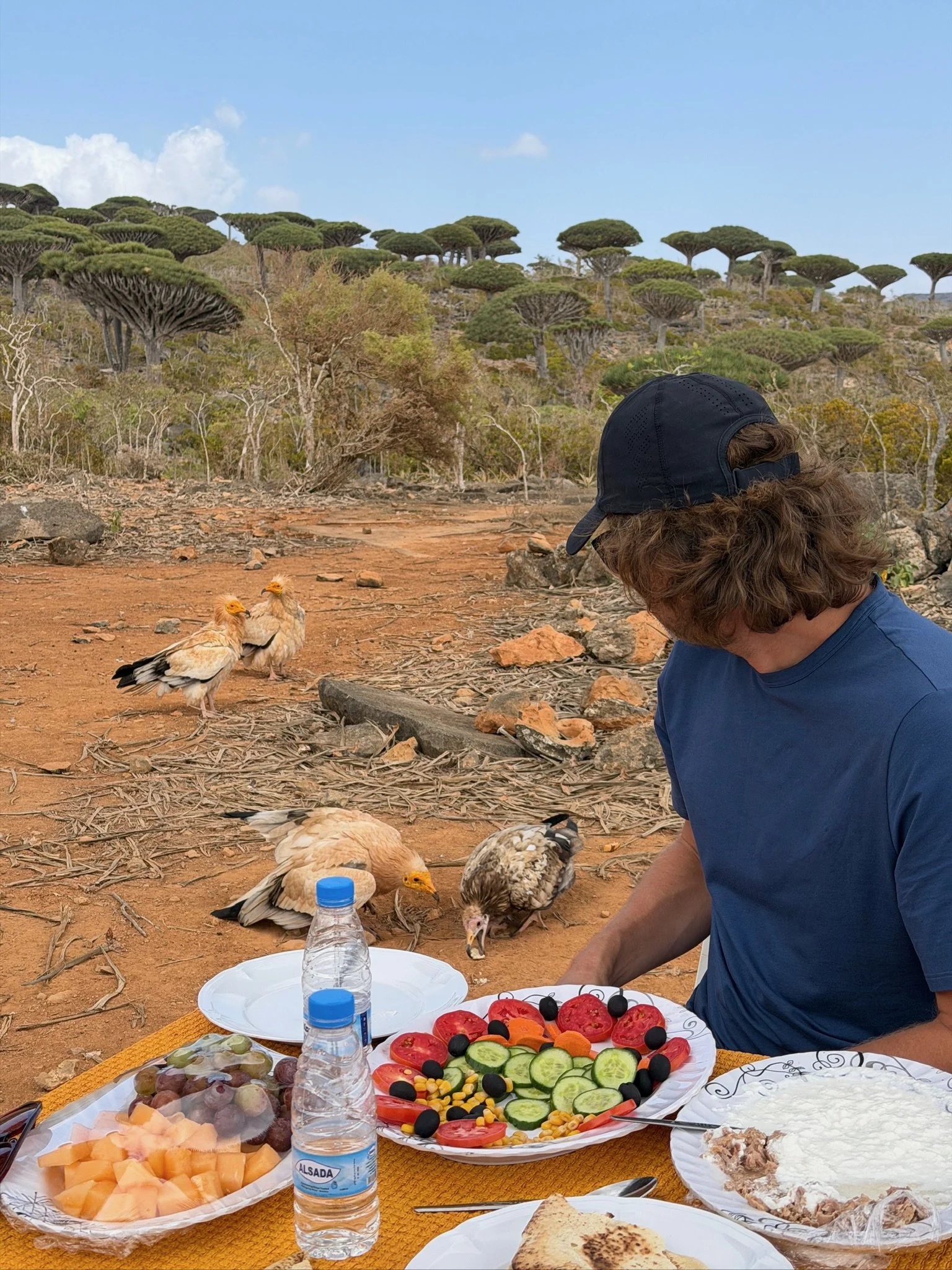 maxandhailey-travel_Yemen-socotra-Island - 30.jpeg