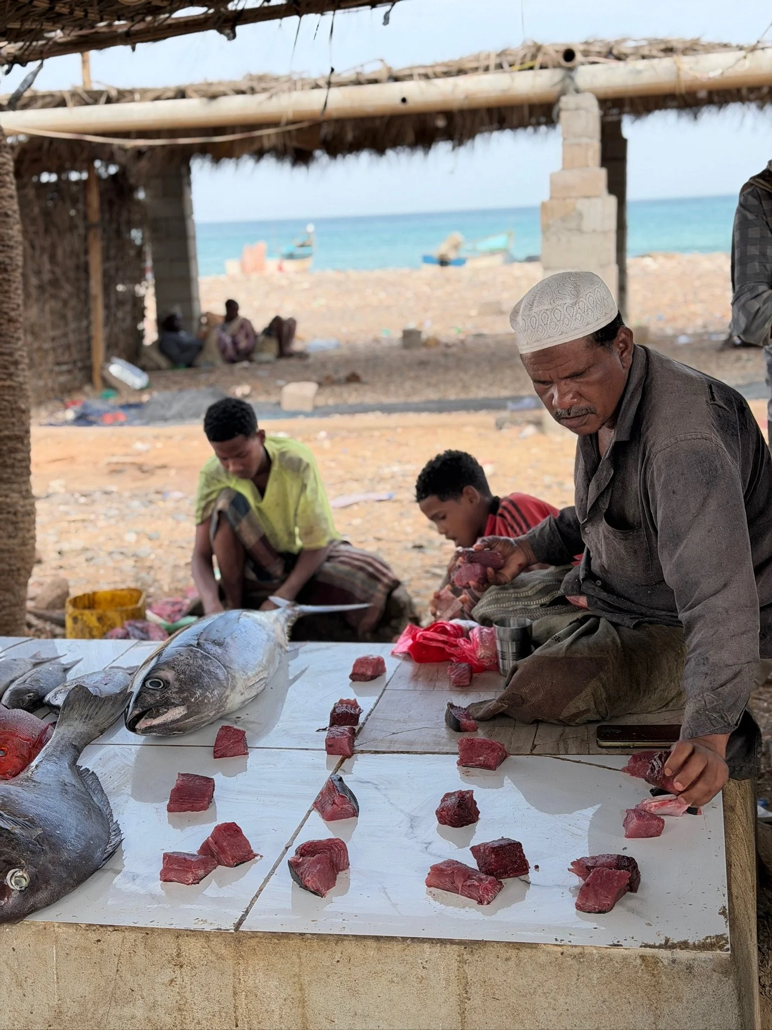maxandhailey-travel_Yemen-socotra-Island - 13.jpeg