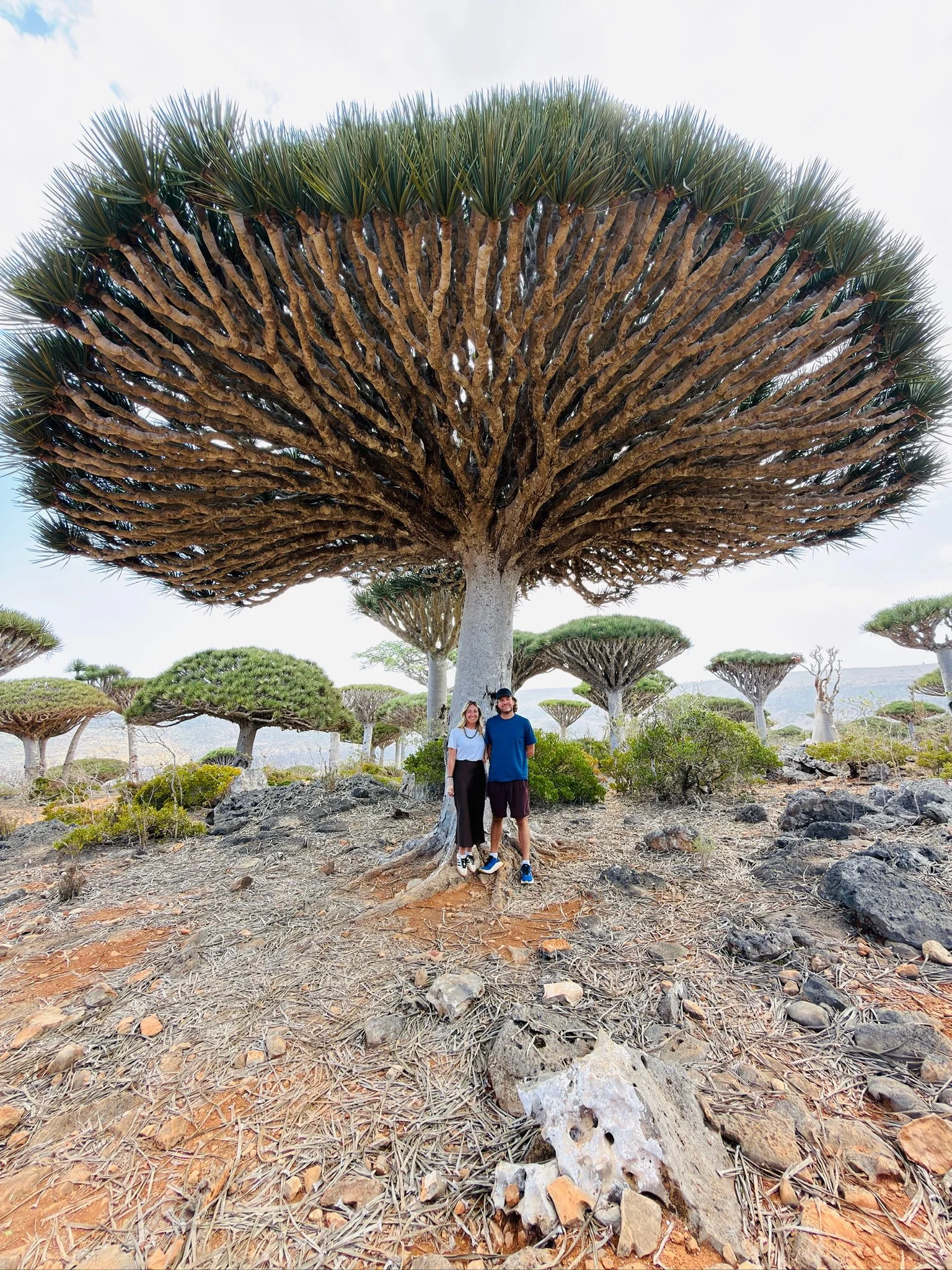 Yemen