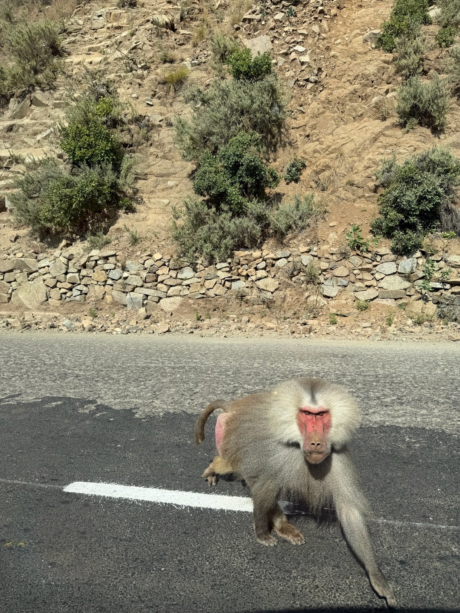 maxandhailey_travel-eritrea-massawa-asmara - 19.jpeg