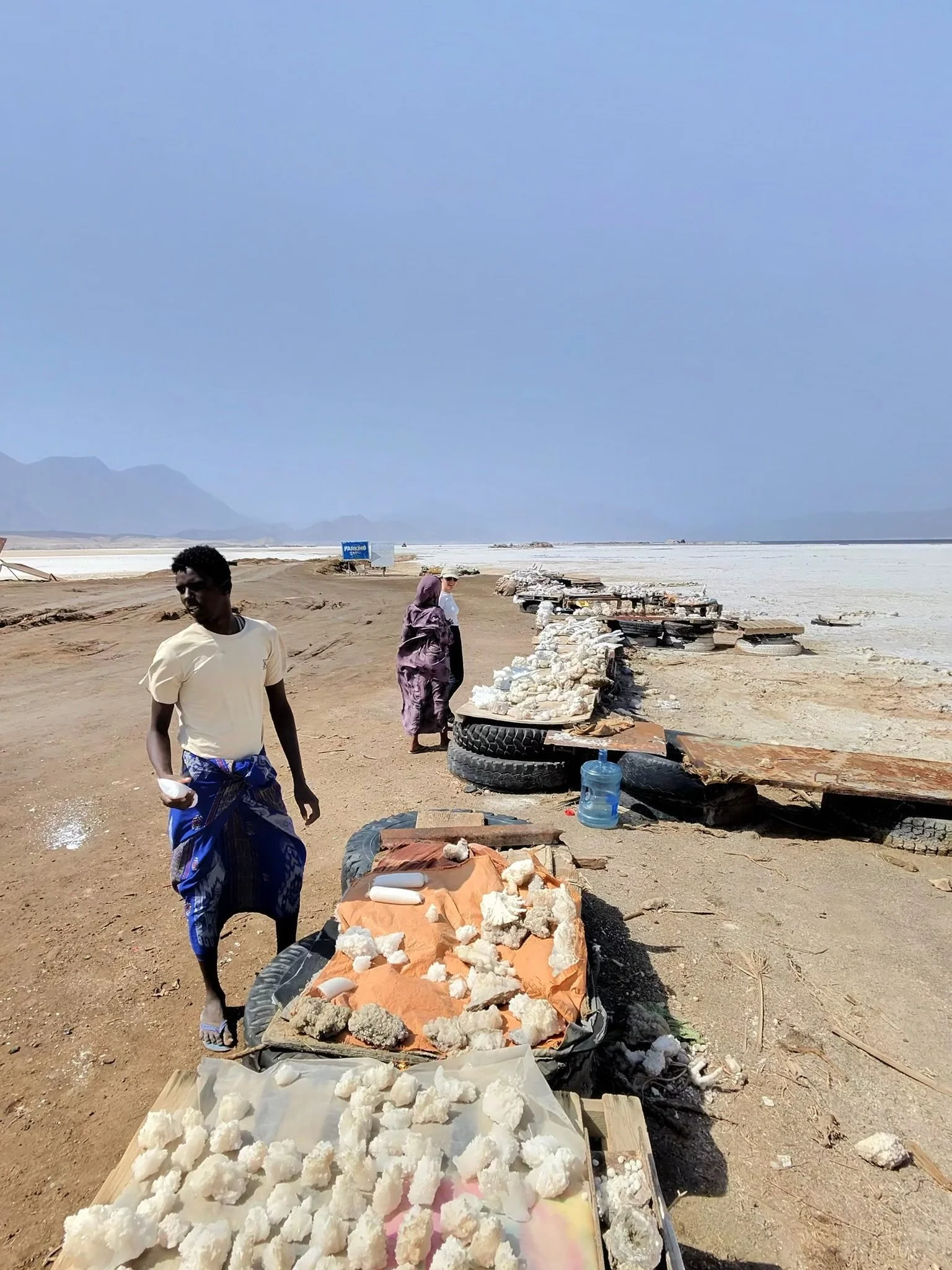 maxandhailey_travel-djibouti-flamingos-geothermal - 40.jpeg