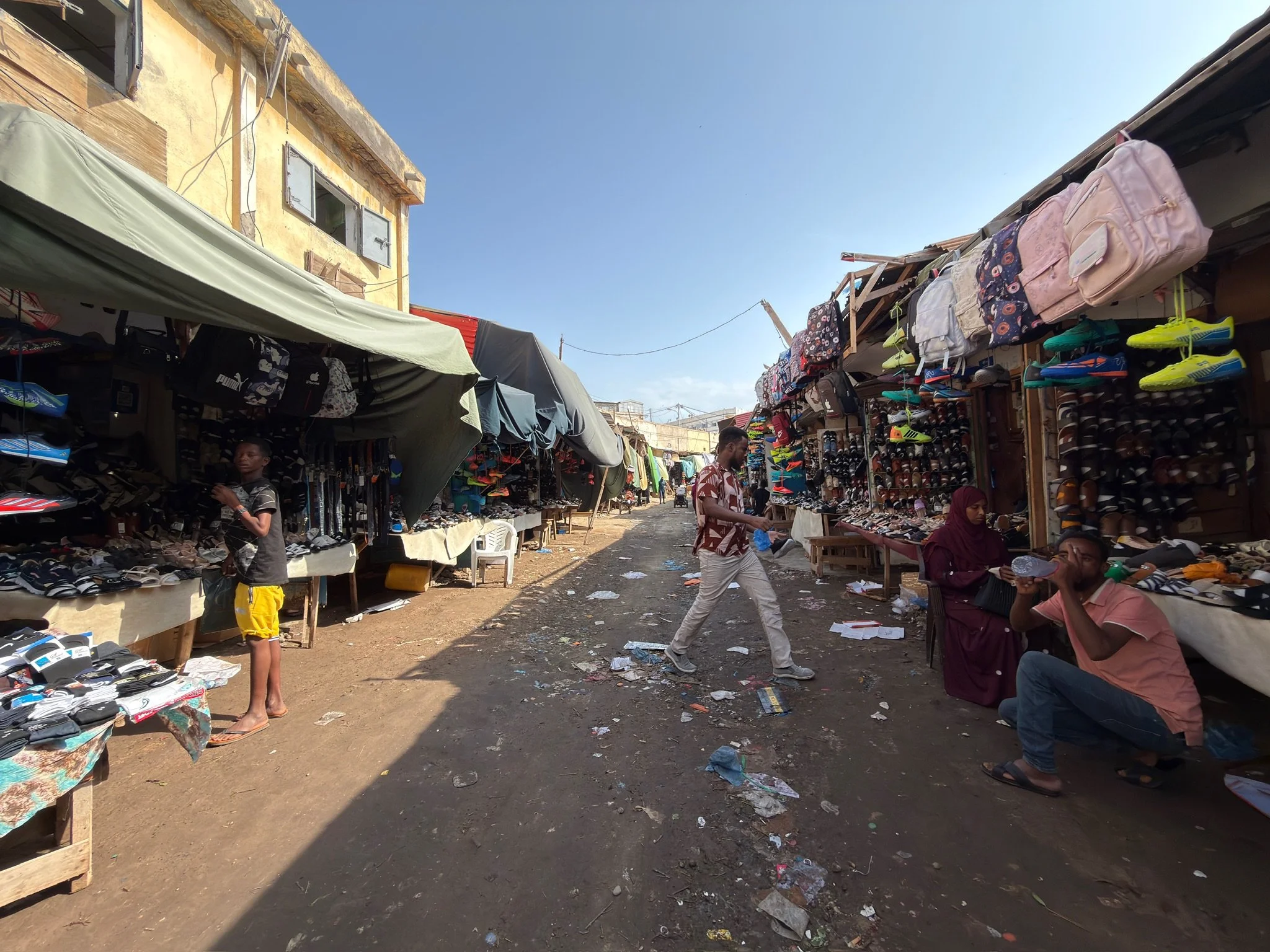 maxandhailey_travel-djibouti-flamingos-geothermal - 7.jpeg