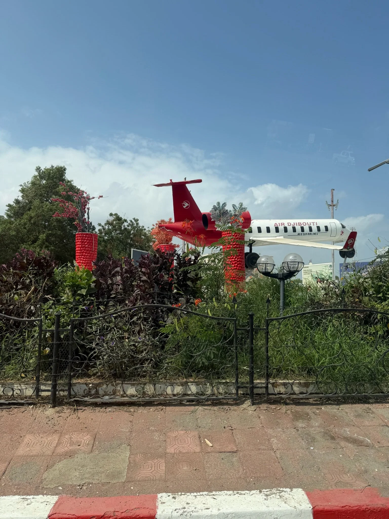 maxandhailey_travel-djibouti-flamingos-geothermal - 1.jpeg