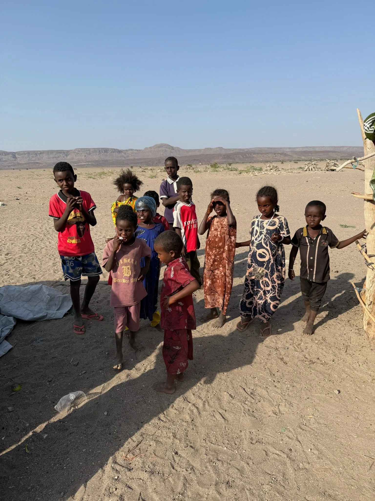 maxandhailey_travel-djibouti-flamingos-geothermal - 16.jpeg