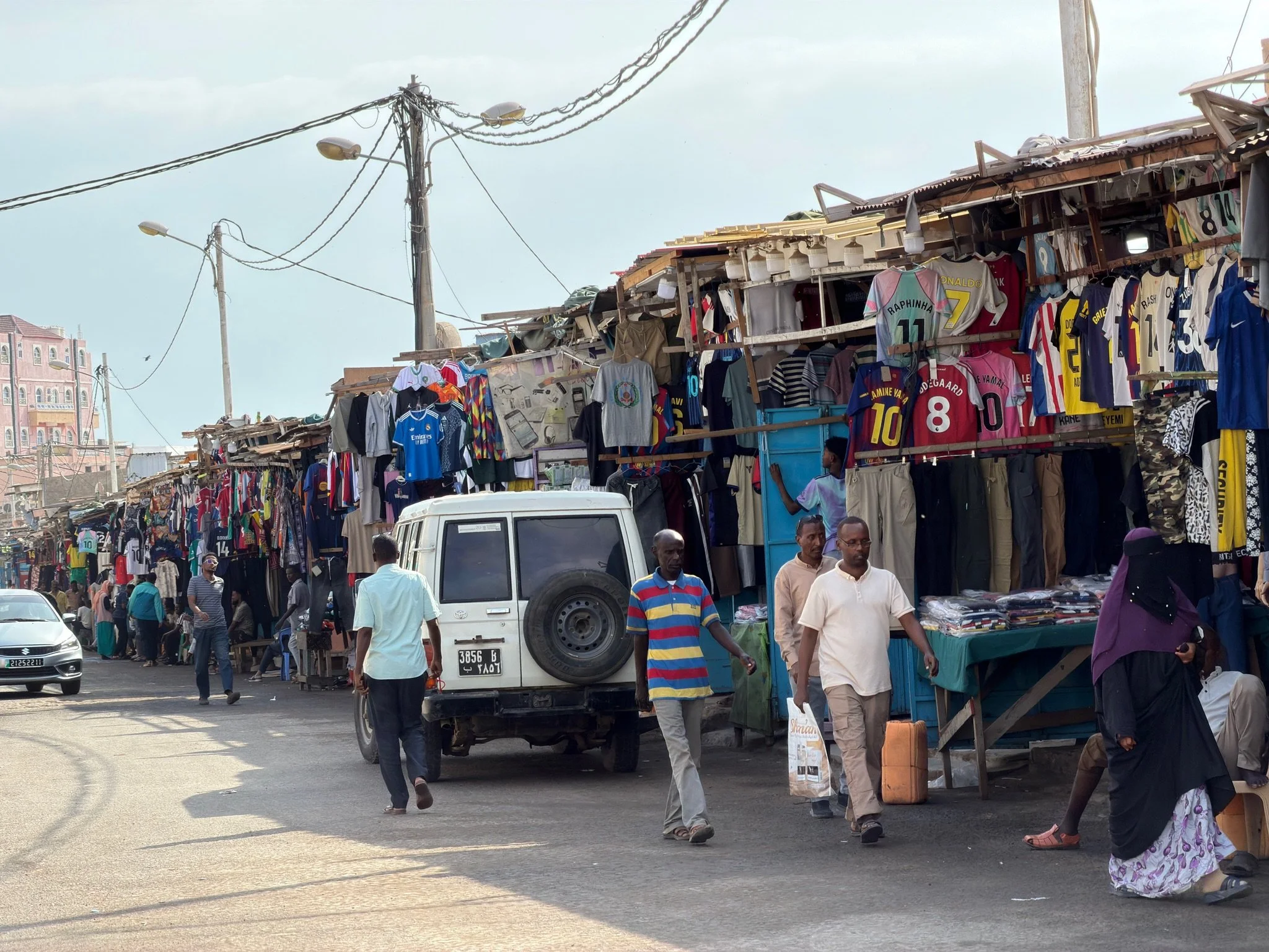 maxandhailey_travel-djibouti-flamingos-geothermal - 5.jpeg