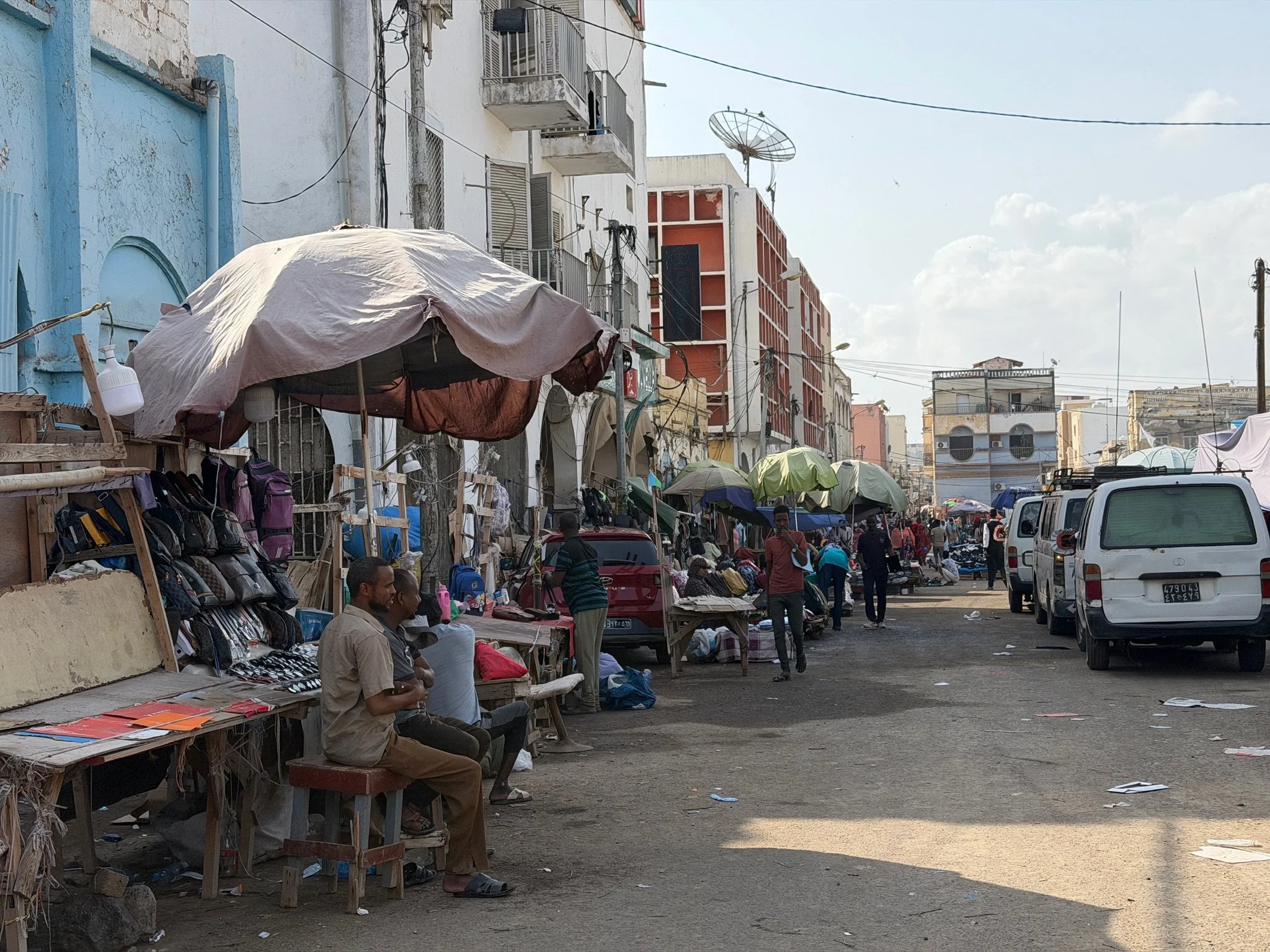 maxandhailey_travel-djibouti-flamingos-geothermal - 8.jpeg