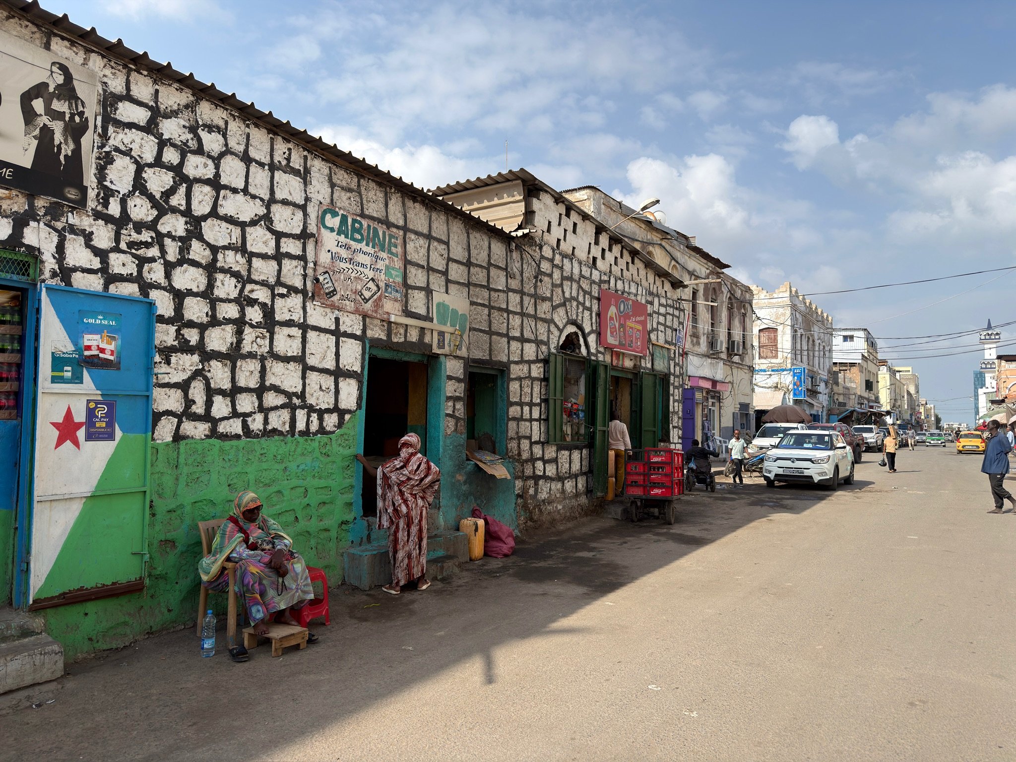 maxandhailey_travel-djibouti-flamingos-geothermal - 4.jpeg