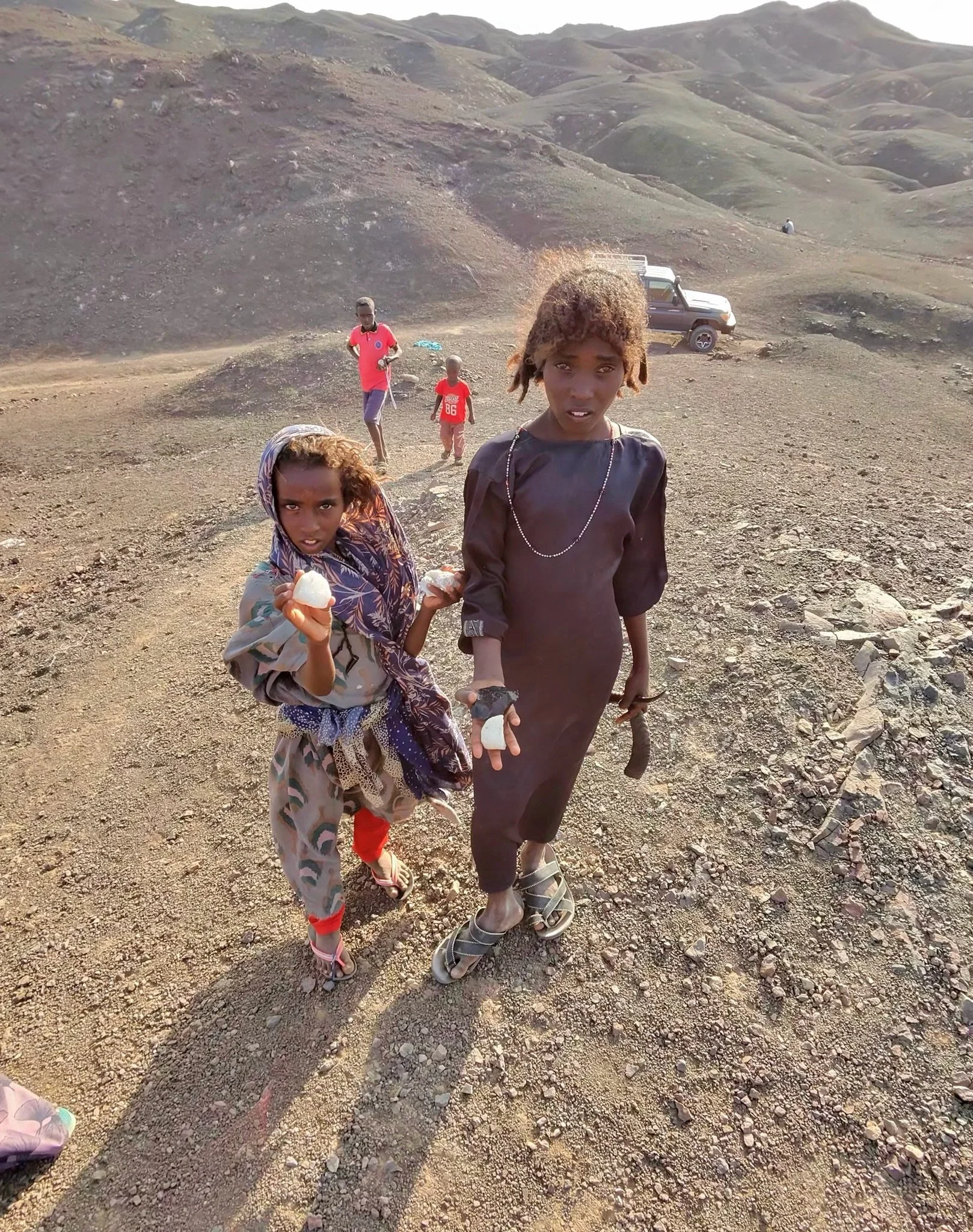 maxandhailey_travel-djibouti-flamingos-geothermal - 18.jpeg