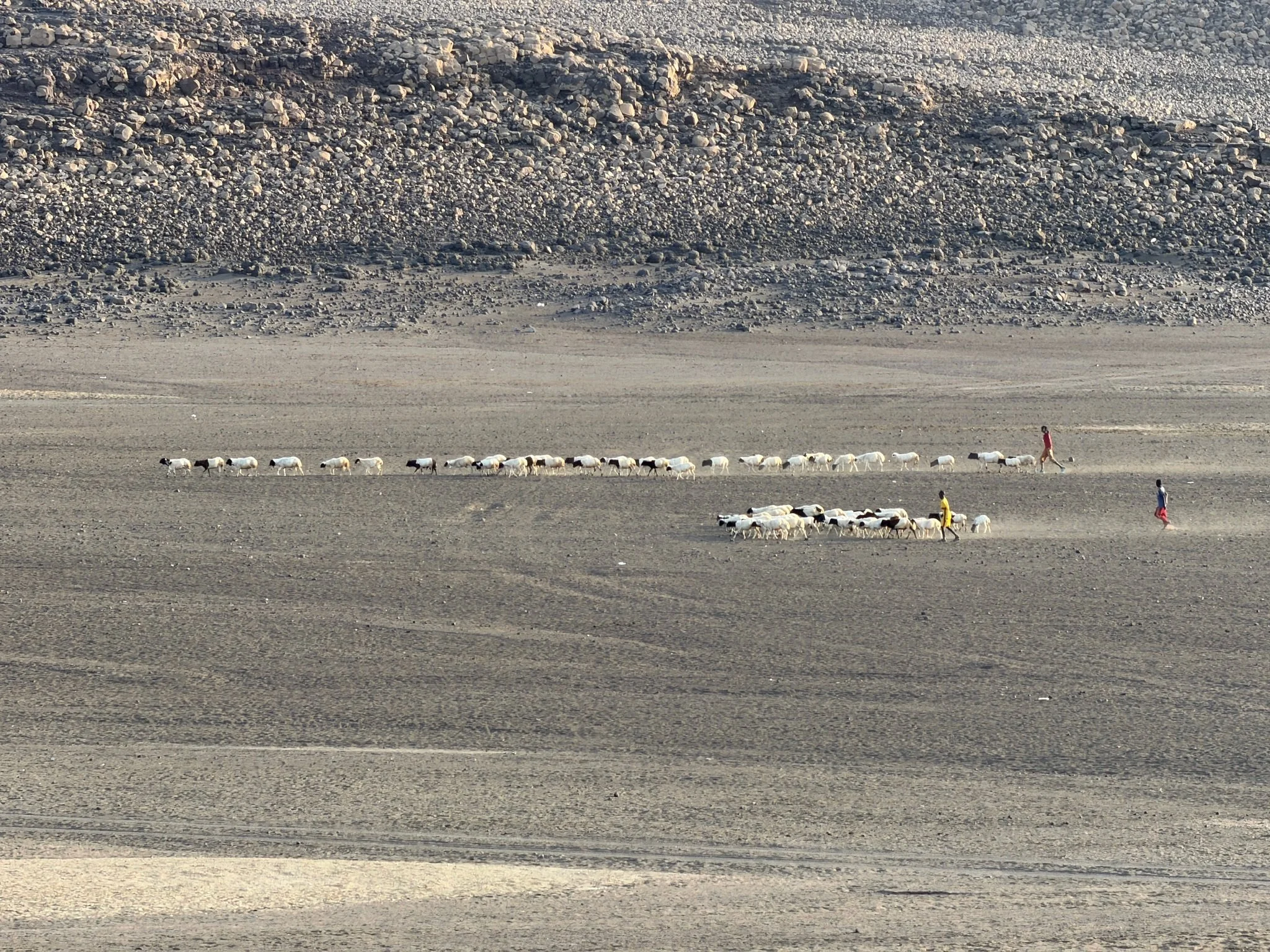 maxandhailey_travel-djibouti-flamingos-geothermal - 22.jpeg