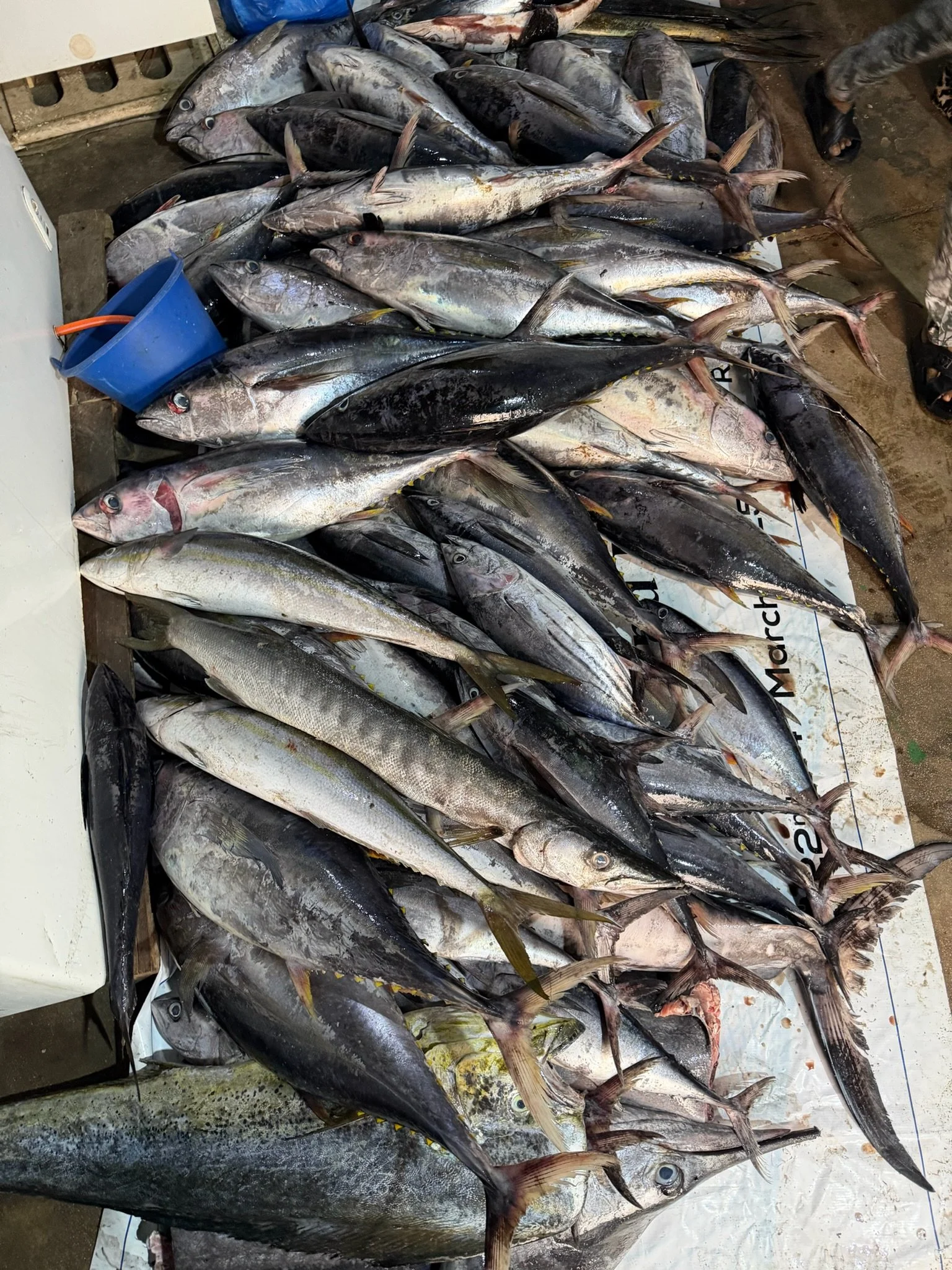 maxandhailey_travel-somaliland-hargeisa-berbera-landers - 30.jpeg