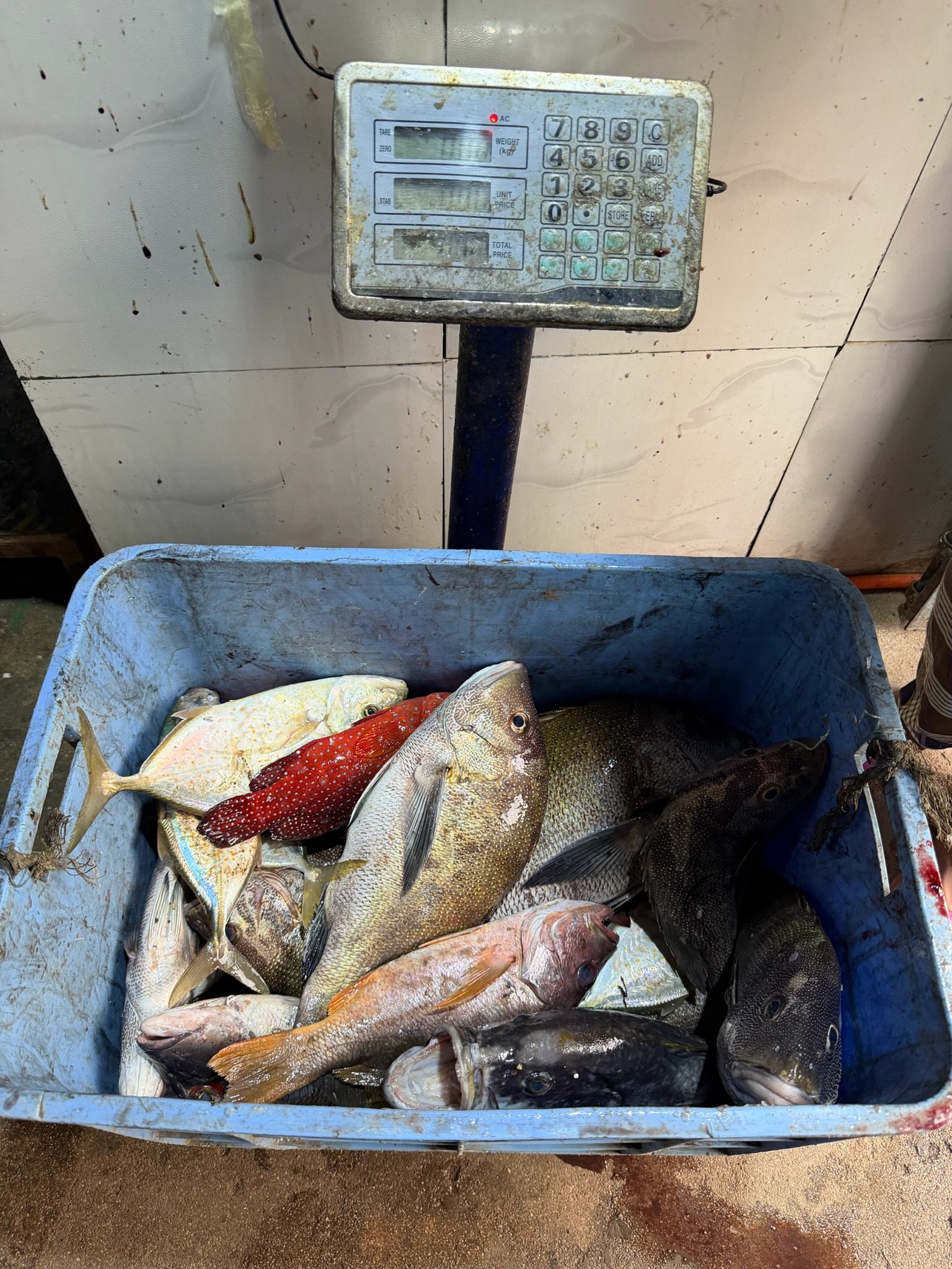 maxandhailey_travel-somaliland-hargeisa-berbera-landers - 32.jpeg