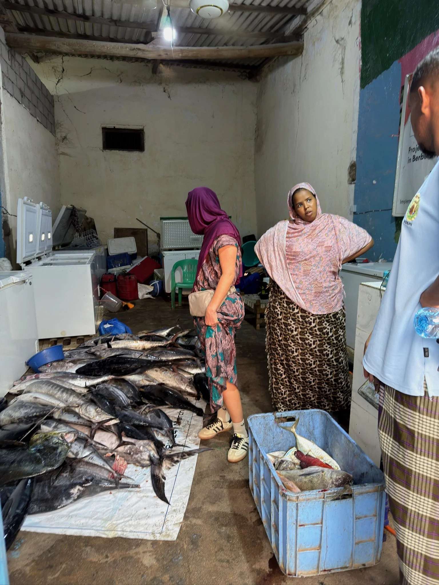 maxandhailey_travel-somaliland-hargeisa-berbera-landers - 31.jpeg