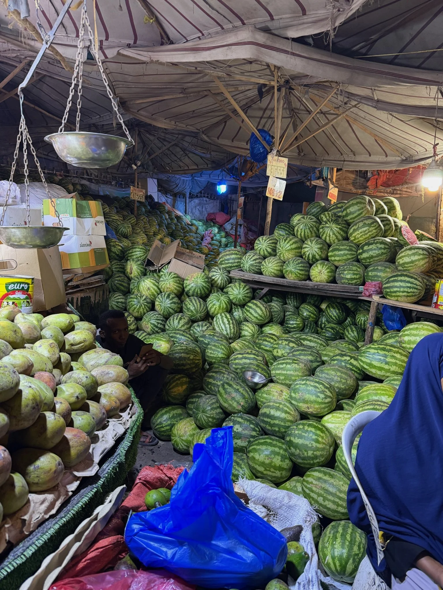 maxandhailey_travel-somaliland-hargeisa-berbera-landers - 6.jpeg