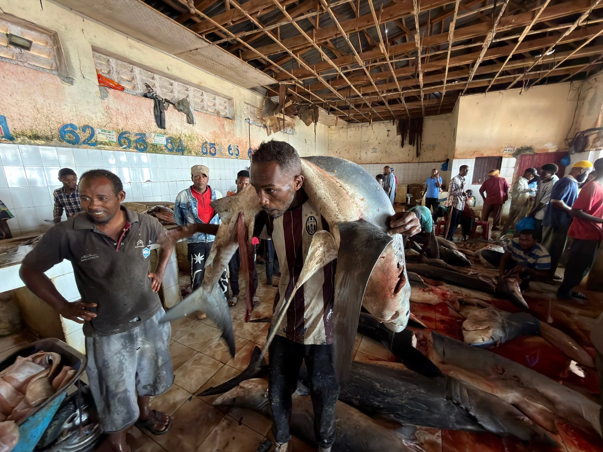 maxandhailey_travel-somalia-mogadishu - mizungu - 1.jpeg