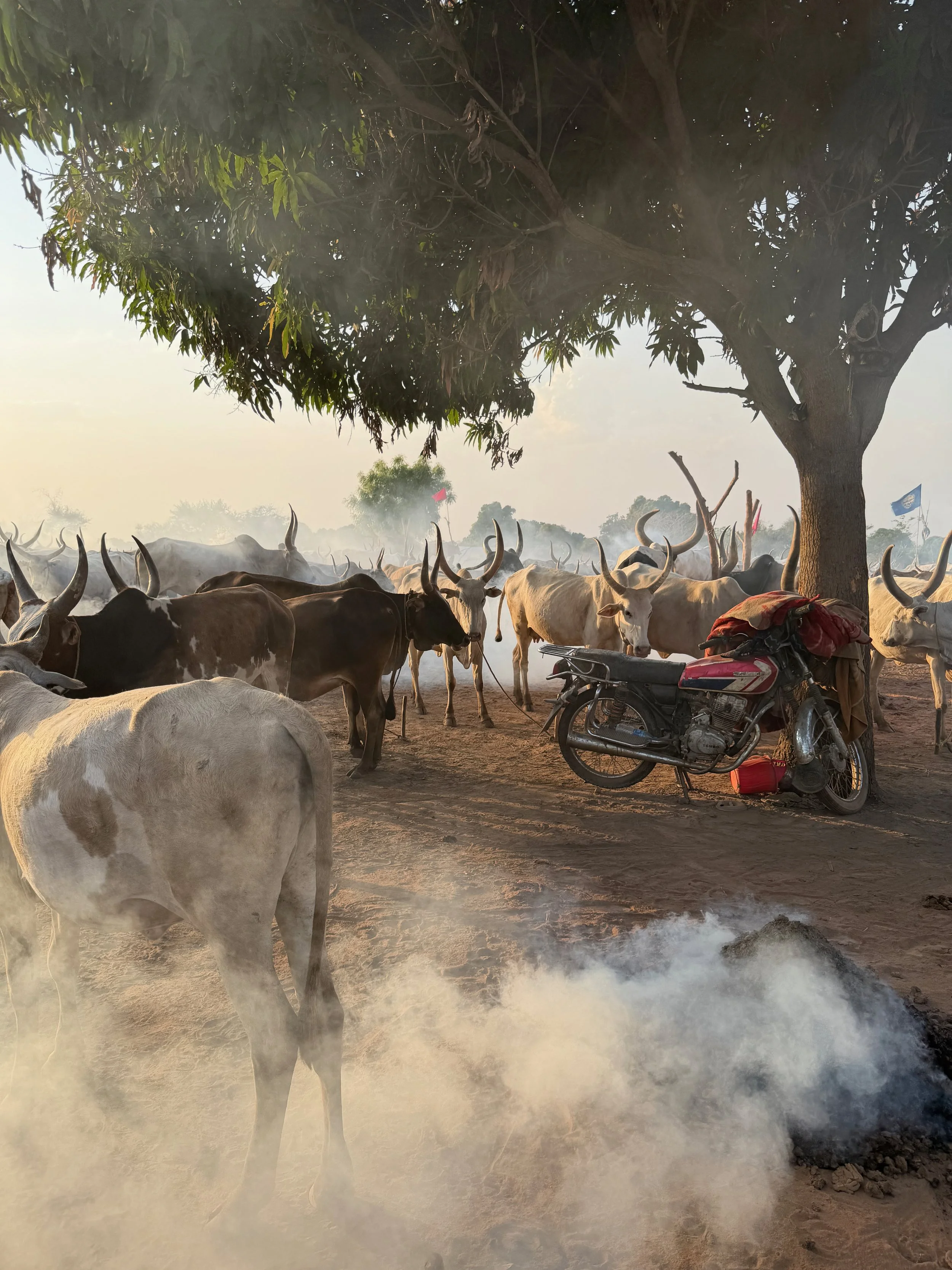 maxandhailey_travel-south-sudan-juba-mundari-mondari-cattle-camp-africa-watusi-tribe - 11.jpeg
