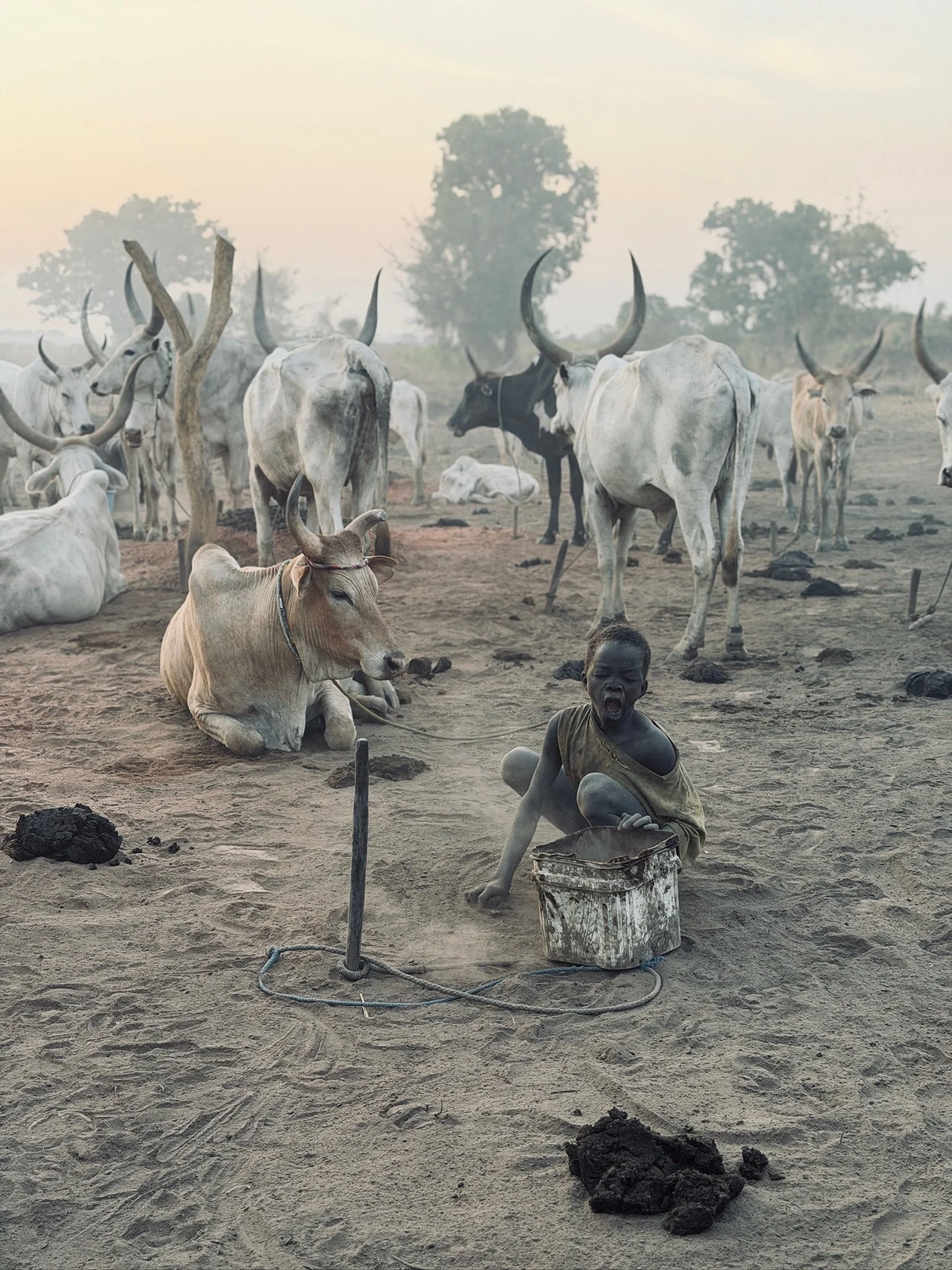 maxandhailey_travel-south-sudan-juba-mundari-mondari-cattle-camp-africa-watusi-tribe - 29.jpeg