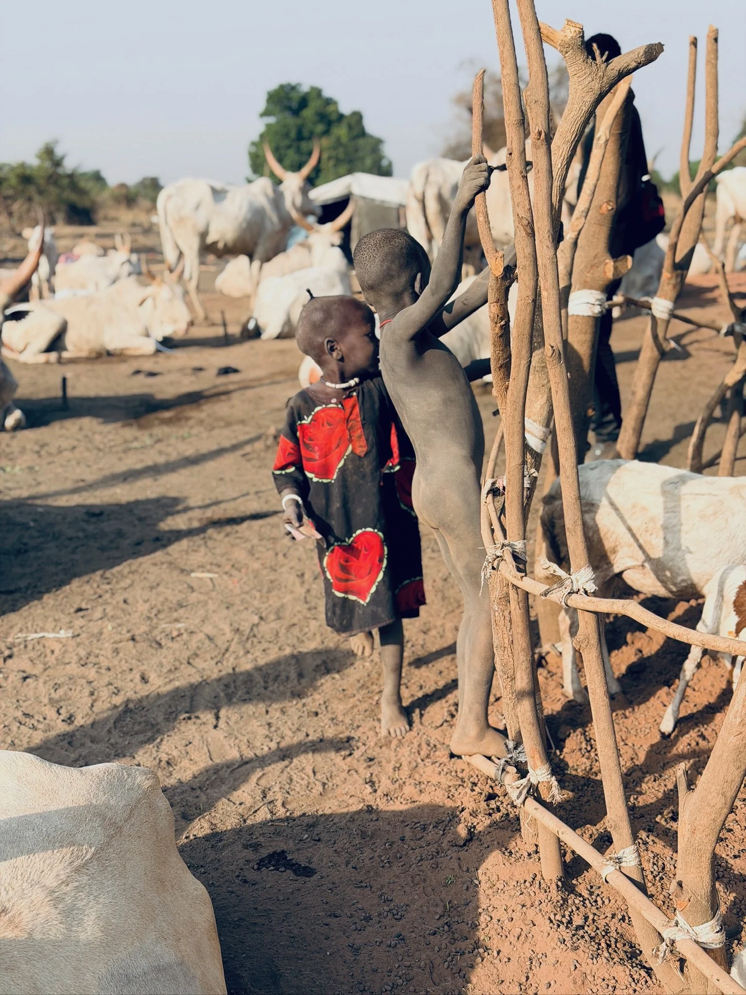 maxandhailey_travel-south-sudan-juba-mundari-mondari-cattle-camp-africa-watusi-tribe - 38.jpeg