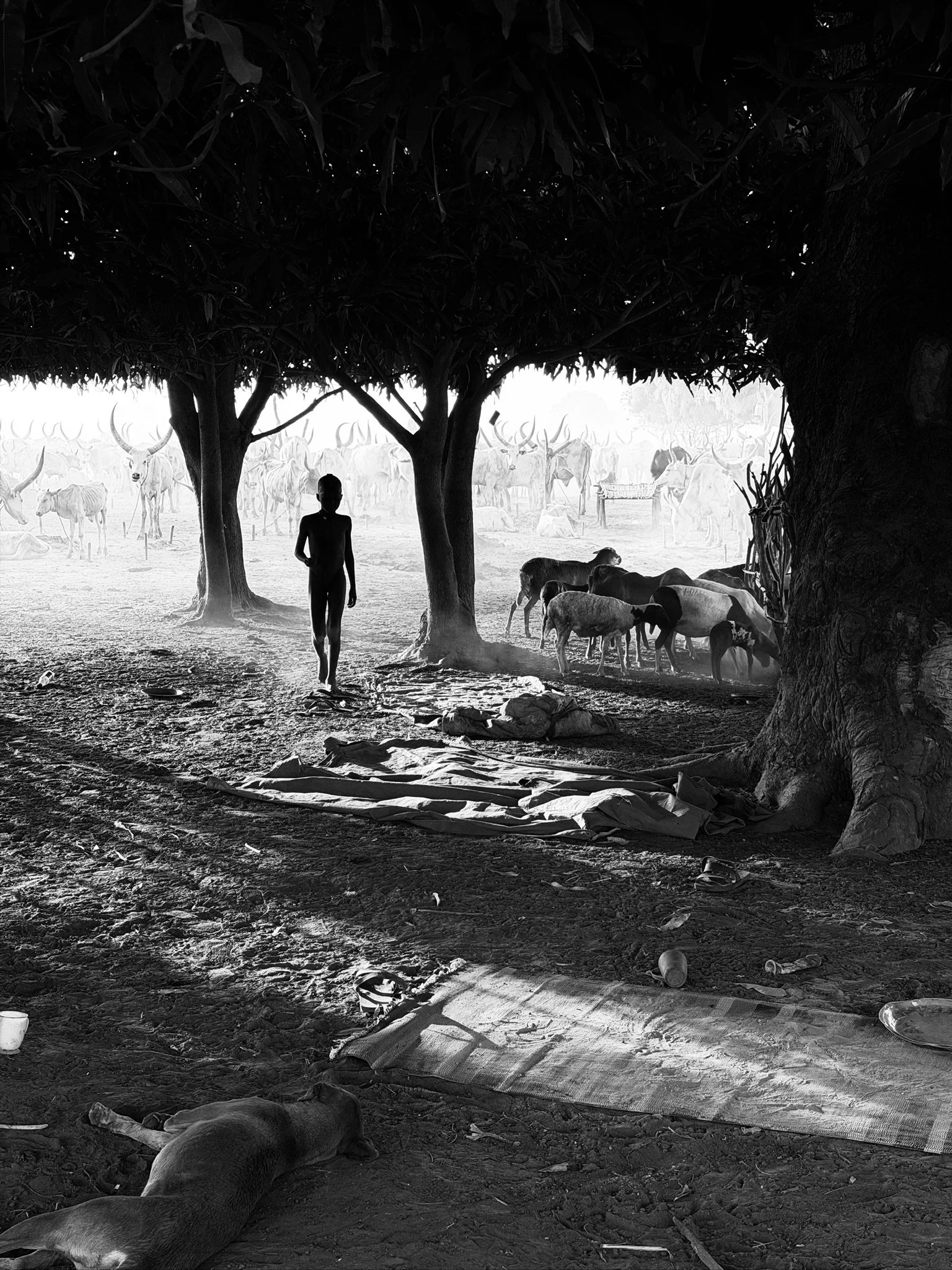maxandhailey_travel-south-sudan-juba-mundari-mondari-cattle-camp-africa-watusi-tribe - 21 (1).jpeg