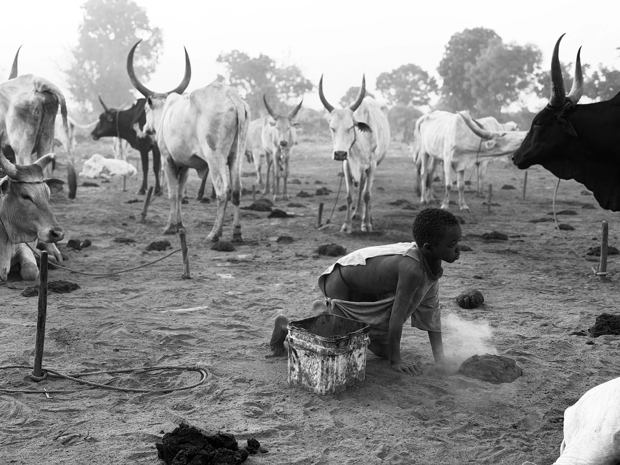 maxandhailey_travel-south-sudan-juba-mundari-mondari-cattle-camp-africa-watusi-tribe - 30.jpeg