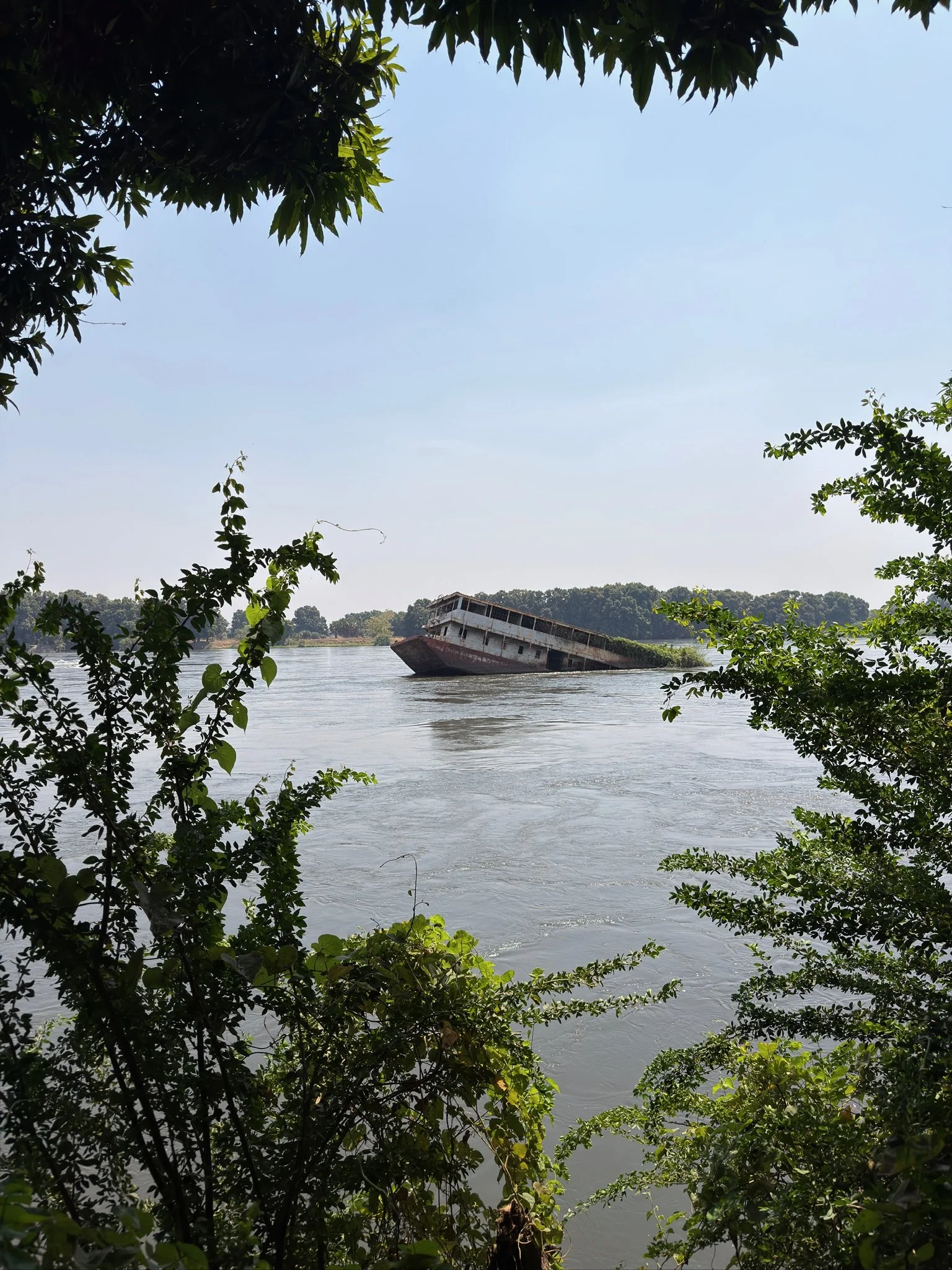 maxandhailey_travel-south-sudan-juba-mundari-mondari-cattle-camp-africa-watusi-tribe - 11 (1).jpeg