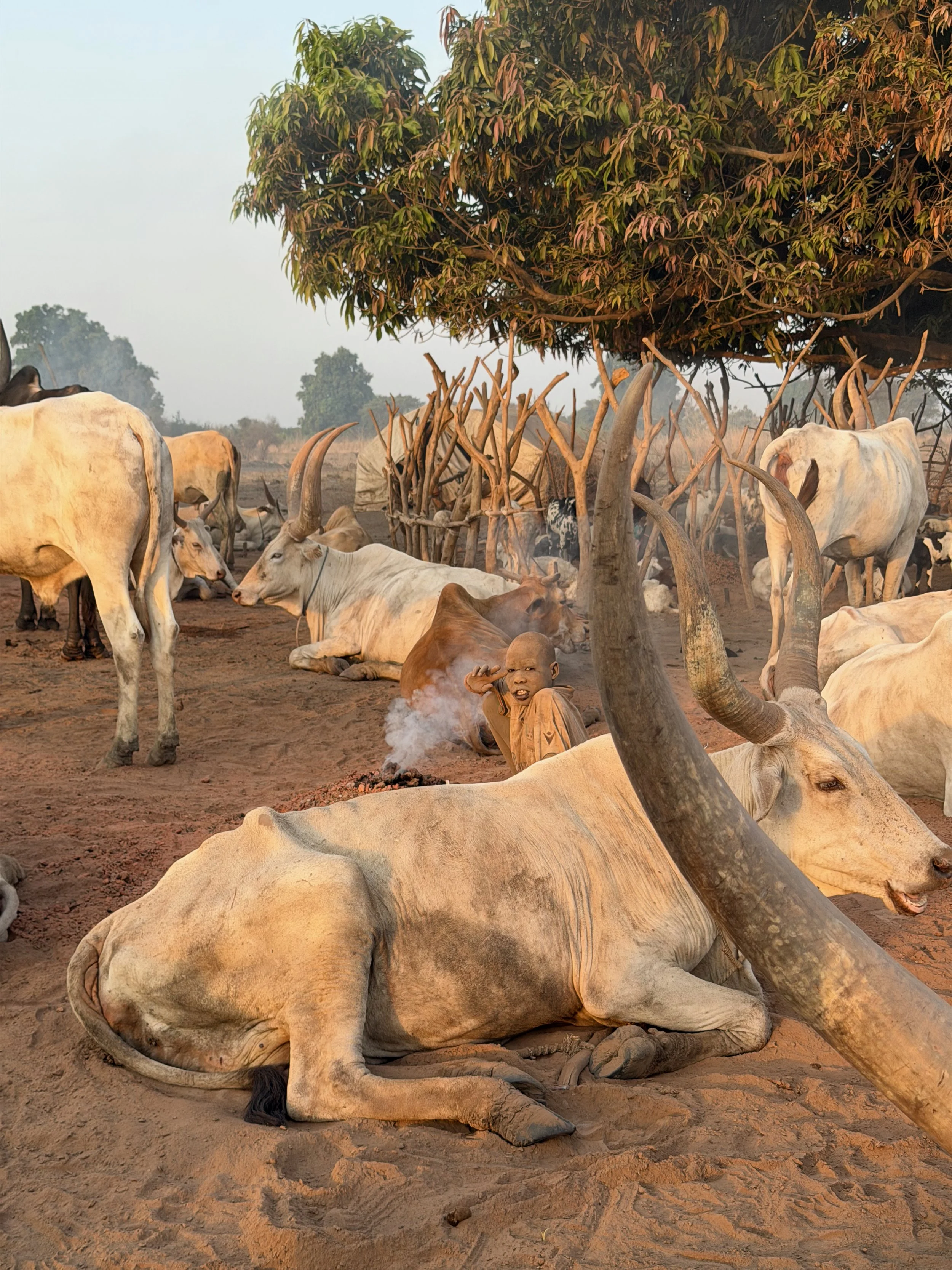 maxandhailey_travel-south-sudan-juba-mundari-mondari-cattle-camp-africa-watusi-tribe - 18.jpeg