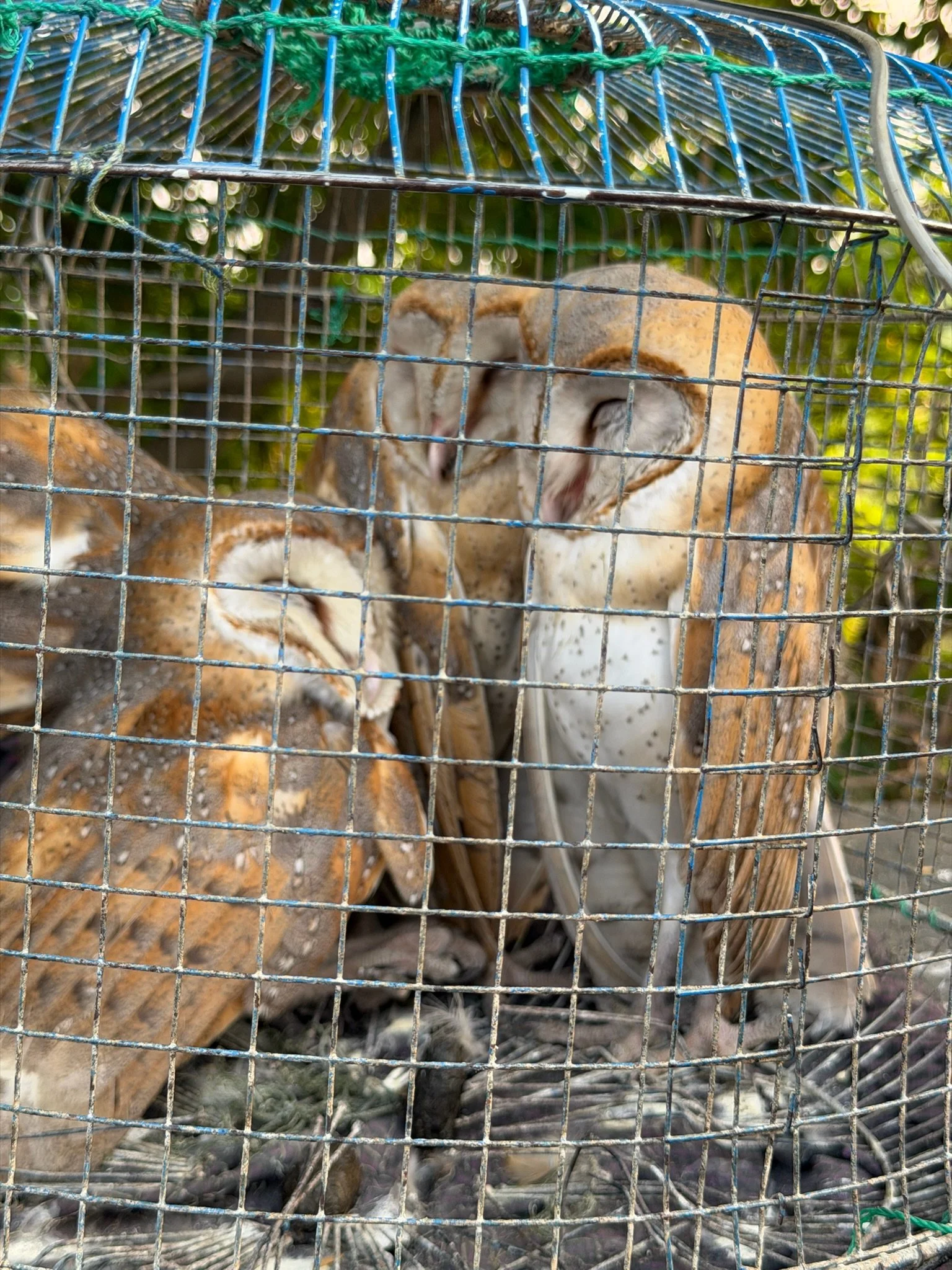 maxandhailey_travel-myanmar-burma-yangon-mandalay-bagan - 19.jpeg