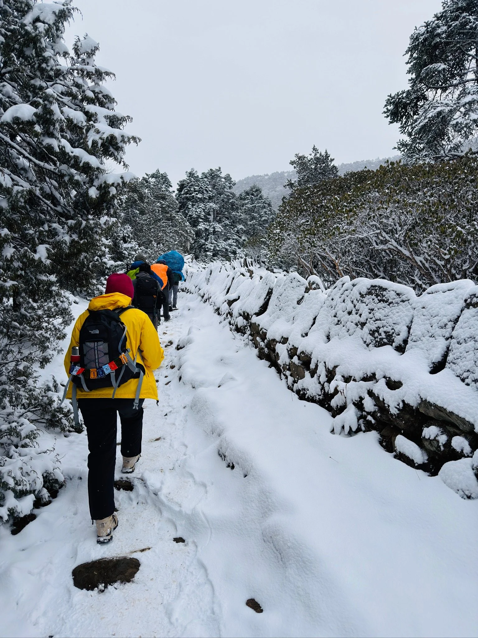 maxandhailey_travel-nepal-everest-base-camp-ebc-dingboche-tenboche-lukla-mountain-lodges - 29.jpeg