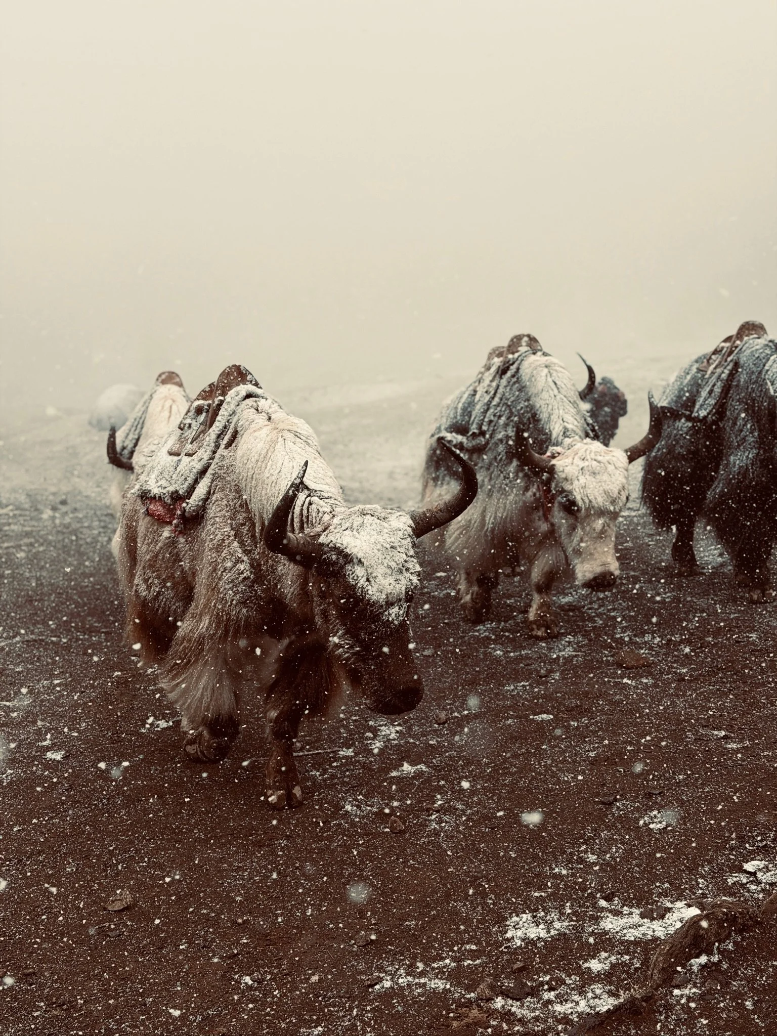 maxandhailey_travel-nepal-everest-base-camp-ebc-dingboche-tenboche-lukla-mountain-lodges - 24.jpeg
