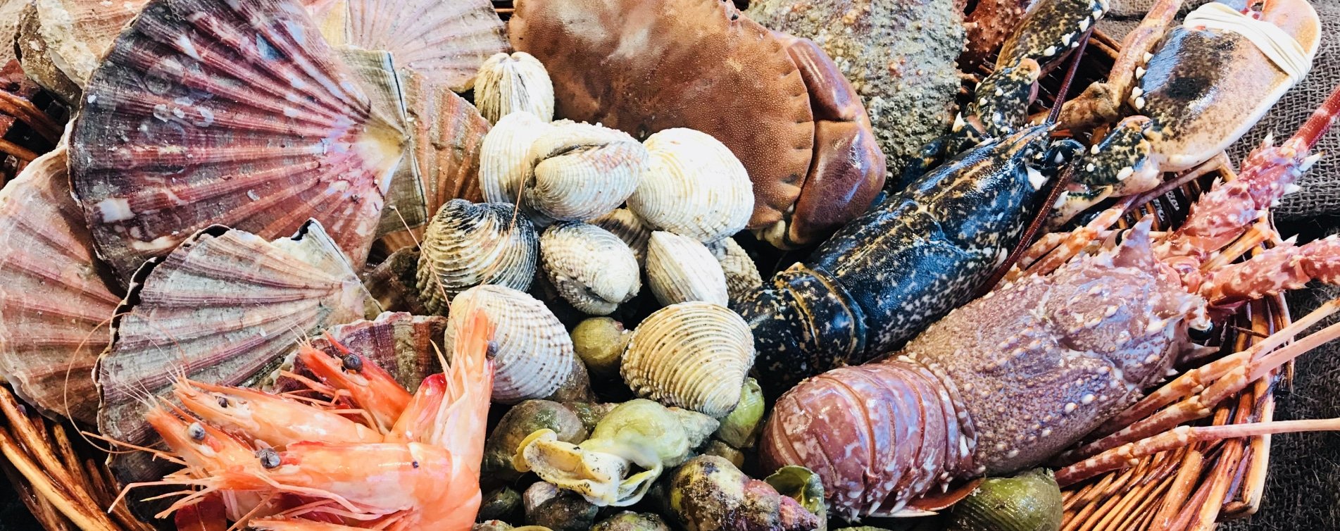 ma-poissonnerie-en-ligne-coquillage-crustaces-frais-a-domicile.jpg