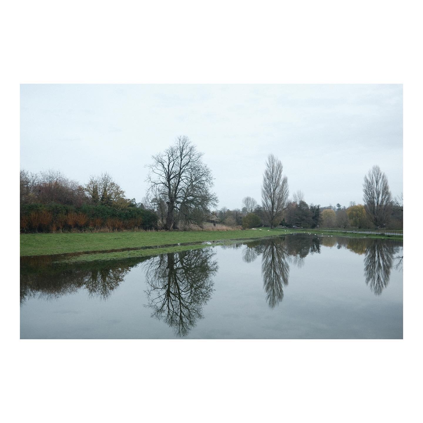 #colnstaldwyns #winter #cotswolds #landscape #trees #holidaycottage #quenington #cirencester