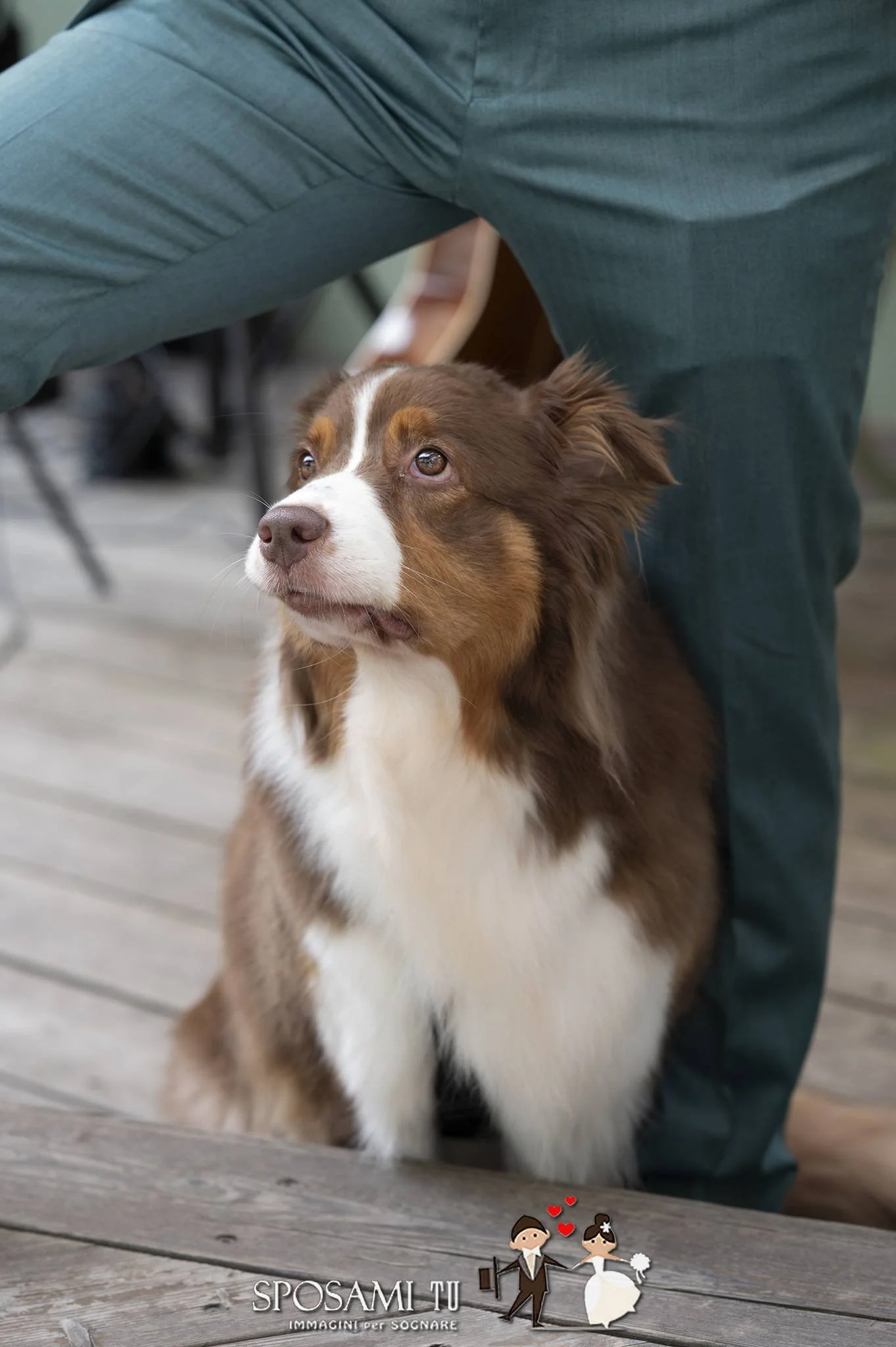 0577_Paola e Stefano.jpg