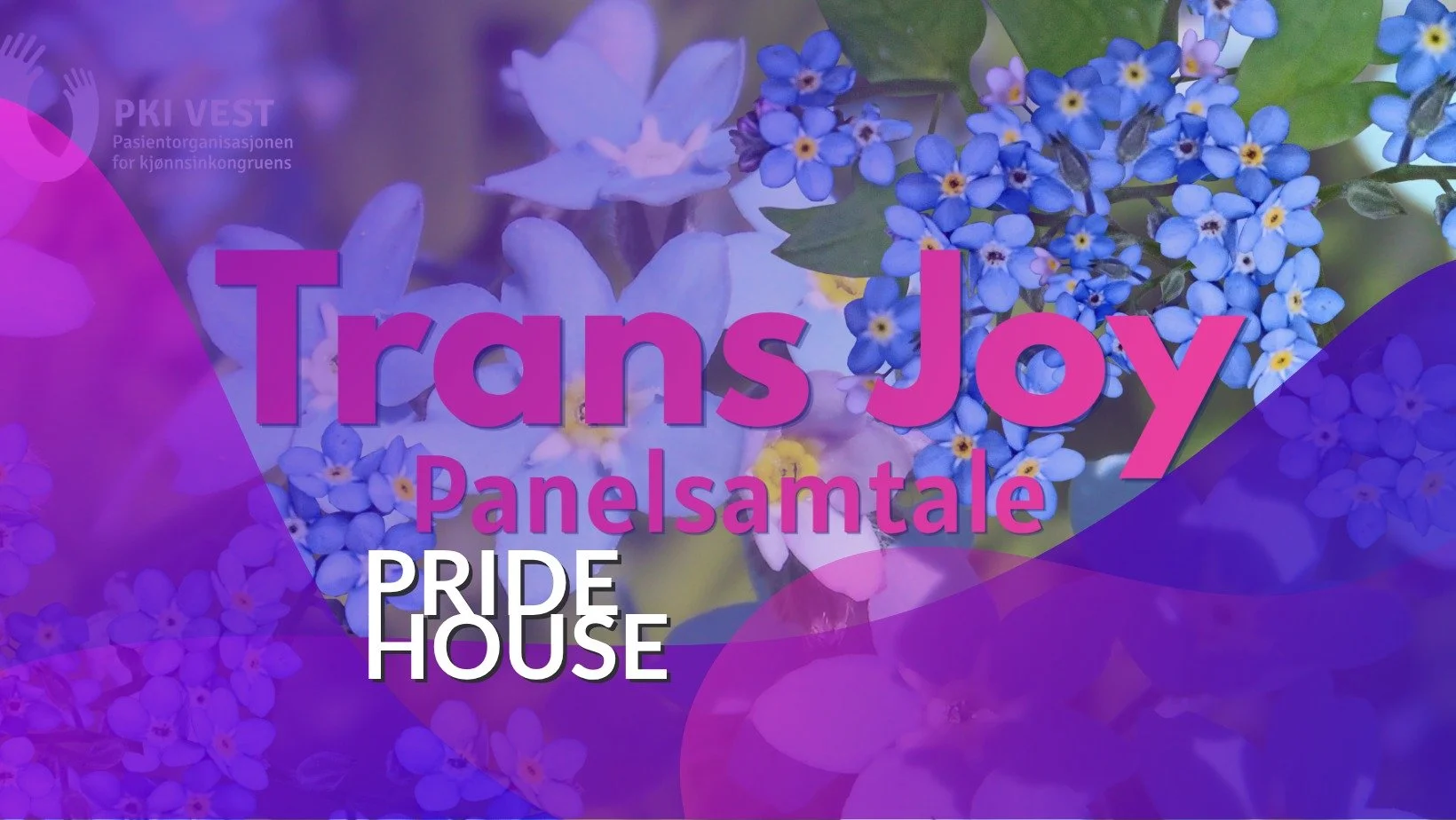 Trans Joy Panel
