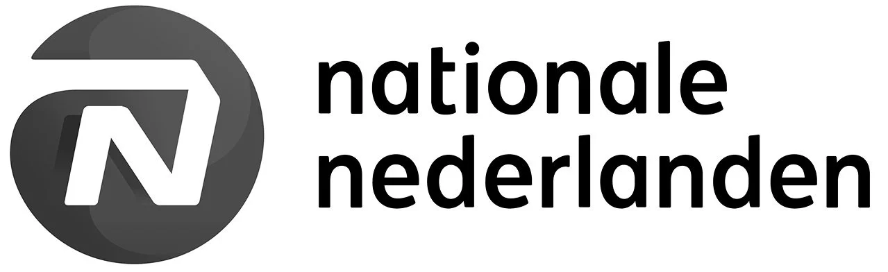 logo-nn B.jpg