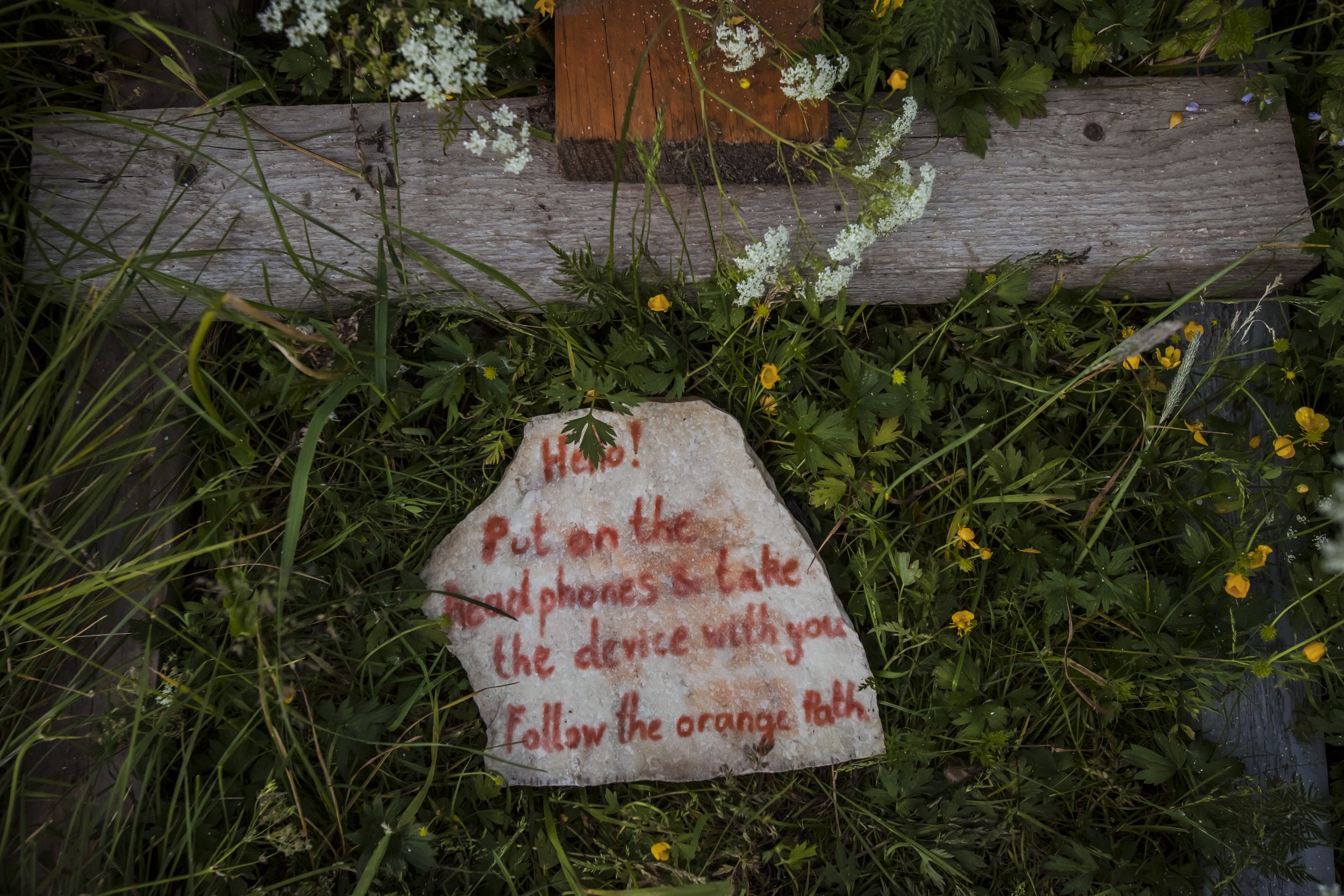 Seren Oroszvary_A BODY TO DWELL_june 2021_photography_alan proosa-11_Original.jpg