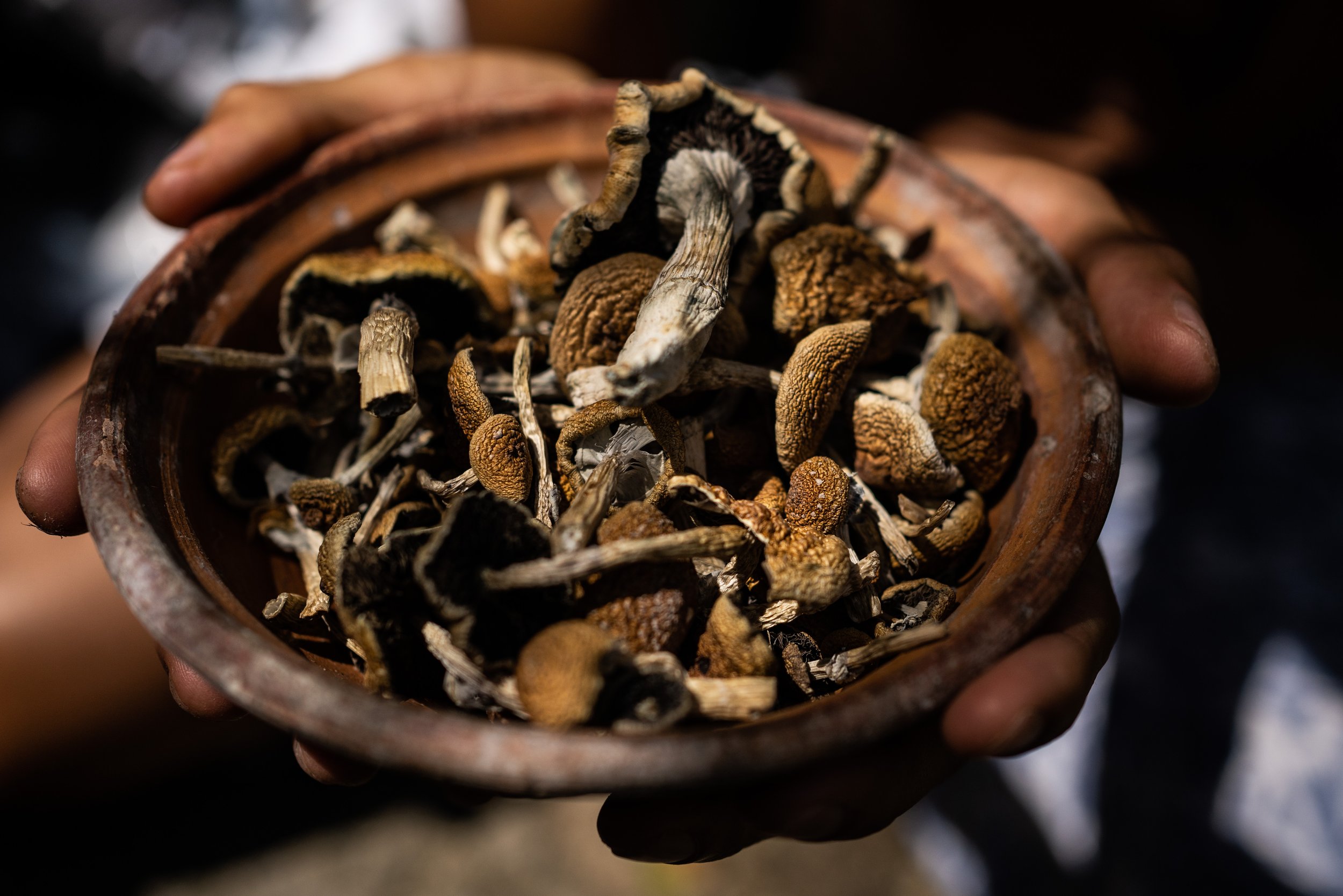 Combining Psilocybin and Somatic Experiencing to Support Mental Health