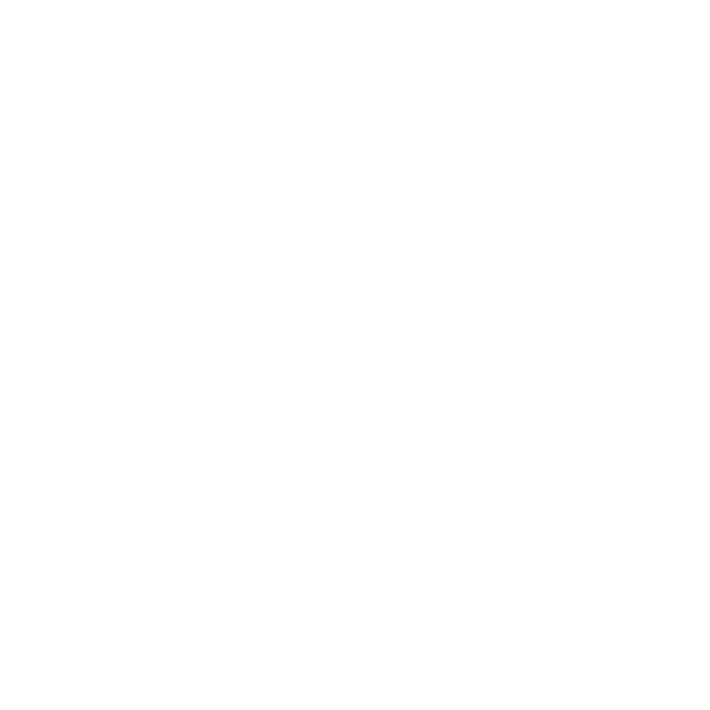 17 sports white.png