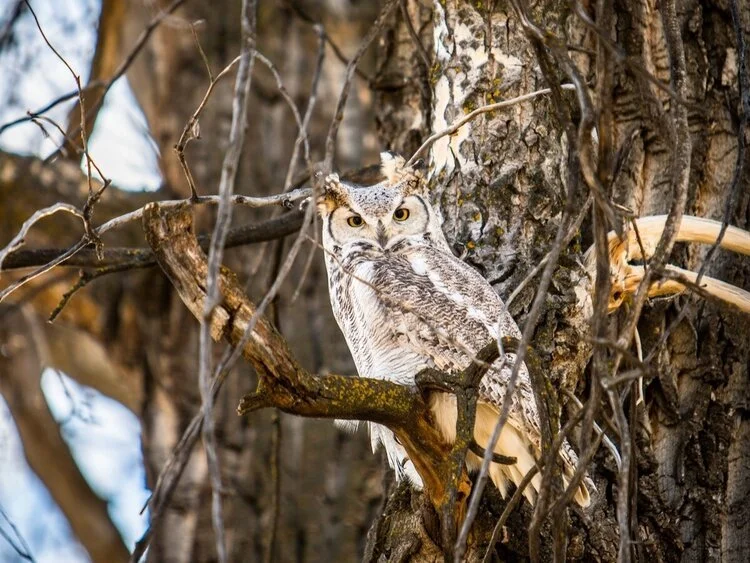 Keep it real. Don’t hide facts.