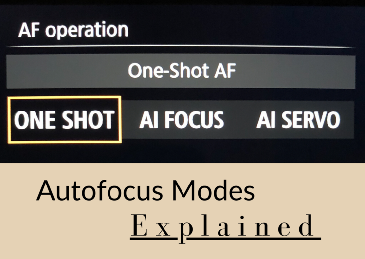 What is the difference between Autofocus (AF) Mode and Manual focus (MF)  Mode?