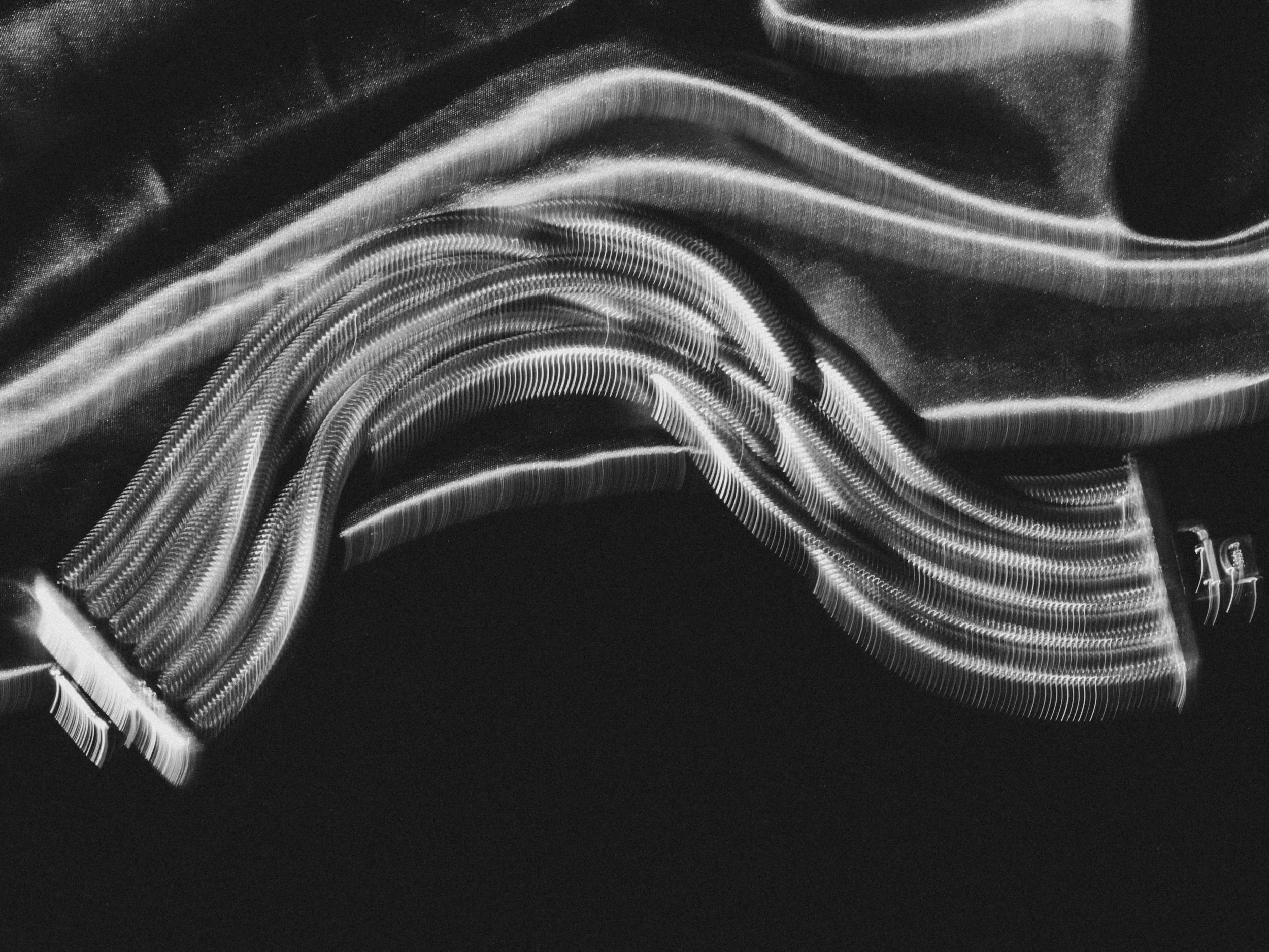 Black and white photograph of illuminated swirls and curves resembling light trails or neon lights, creating an abstract pattern.