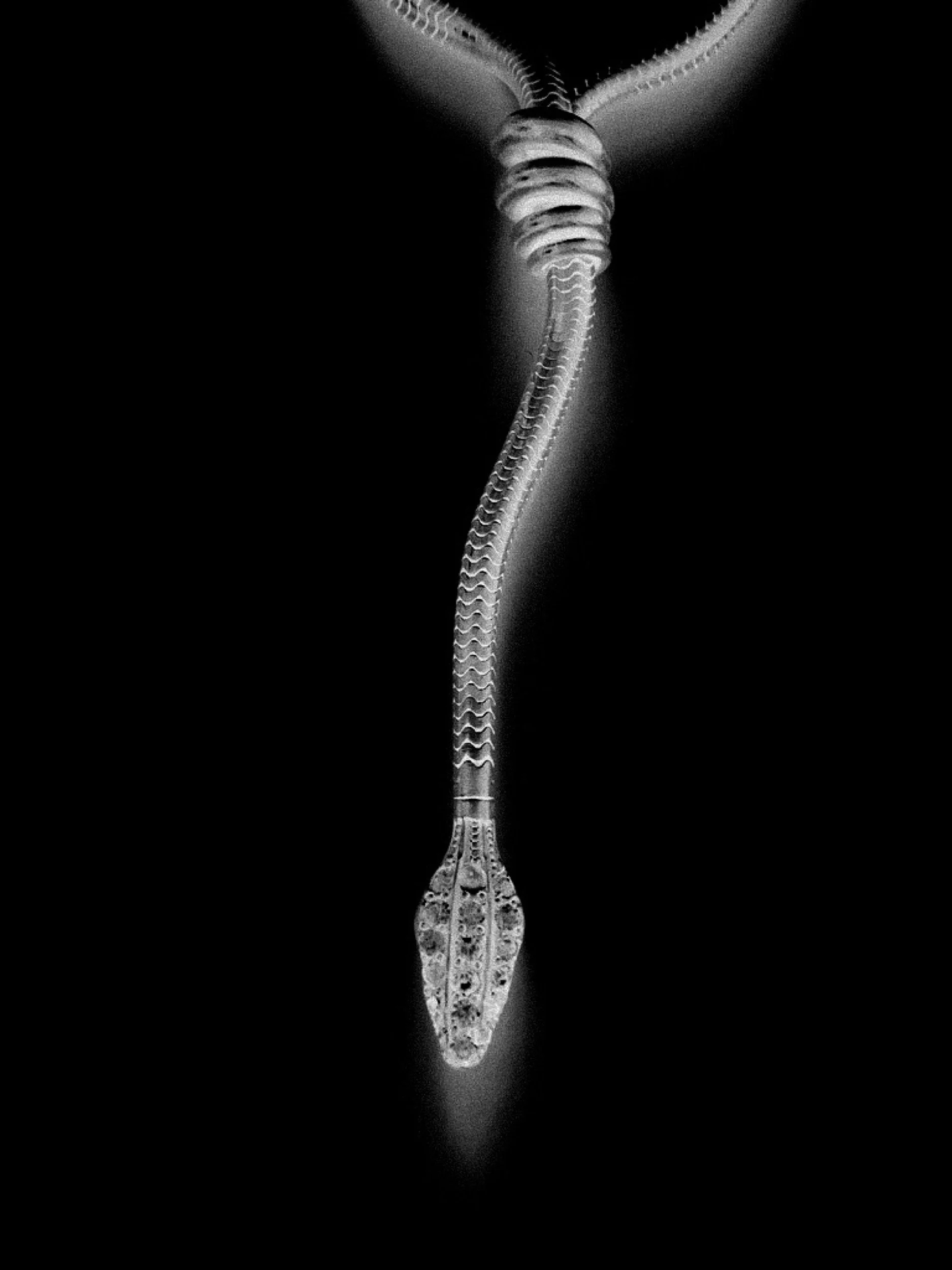 Art Deco Articulated Snake Necklace, Kayten Schmidt