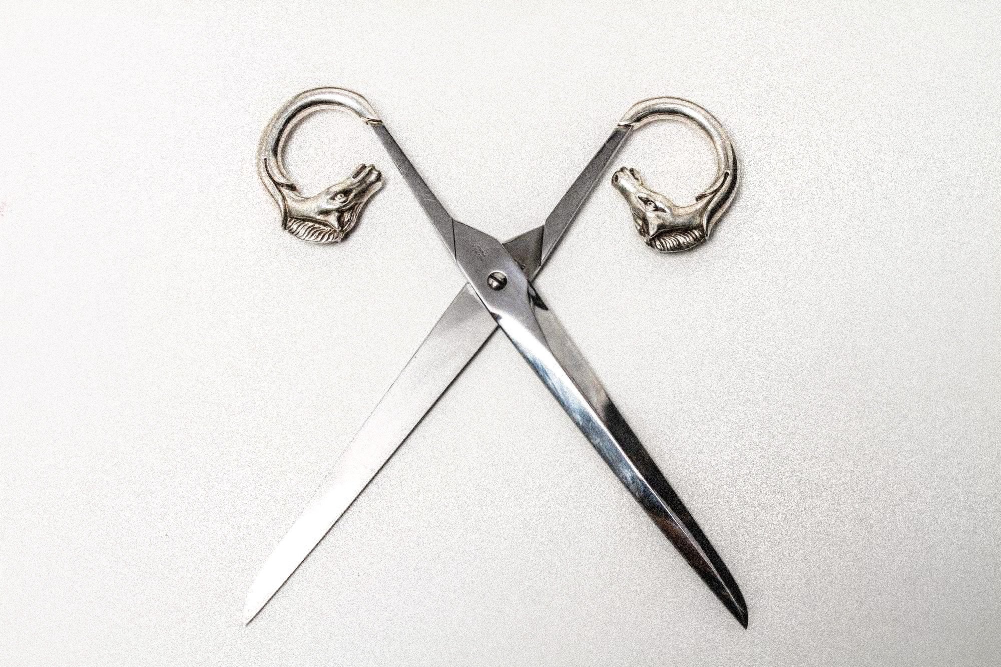 Hermes Scissors