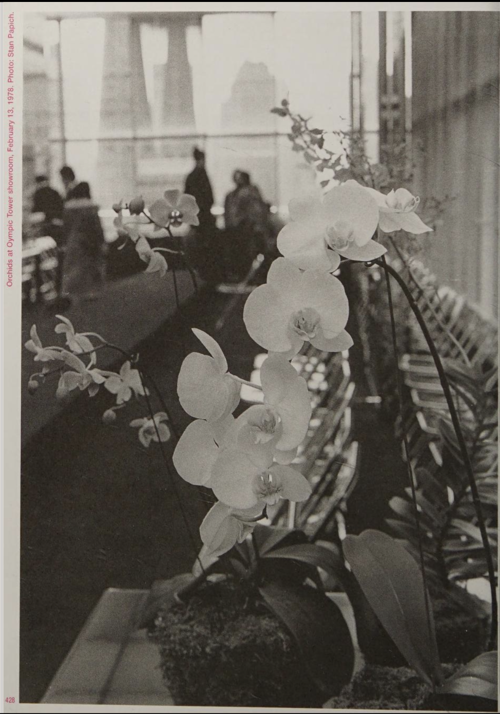 Halston, Olympic Towers, 1978