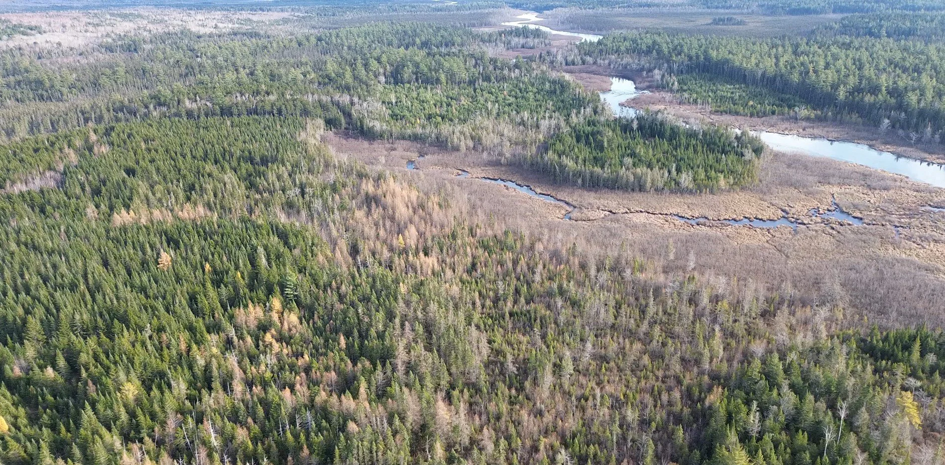 Oranssi technician working on a roof project
